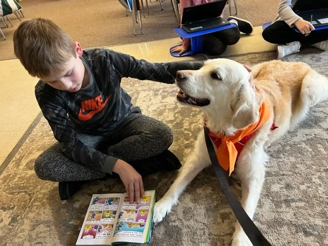 Roxy Therapy Dogs