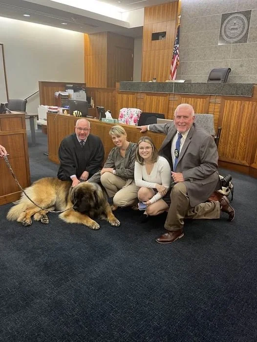 Courthouse Companionship — Roxy Therapy Dogs