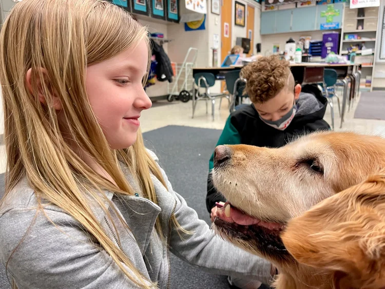Roxy Therapy Dogs