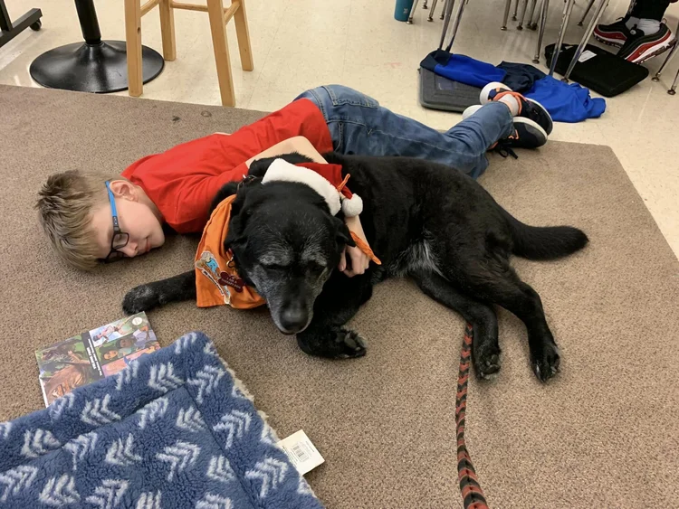 Roxy Therapy Dogs