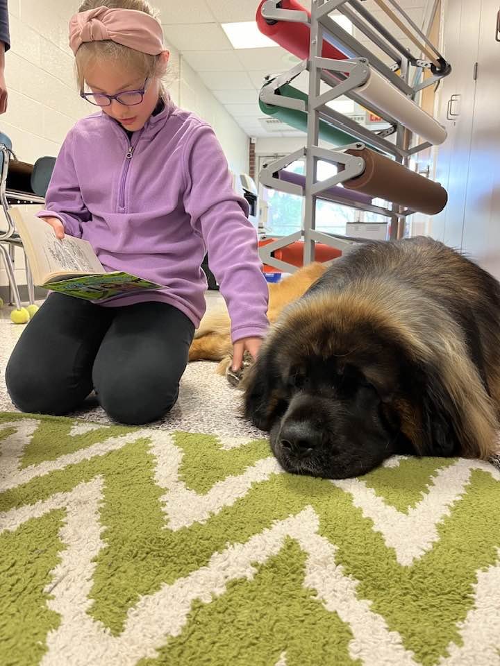 Roxy Therapy Dogs