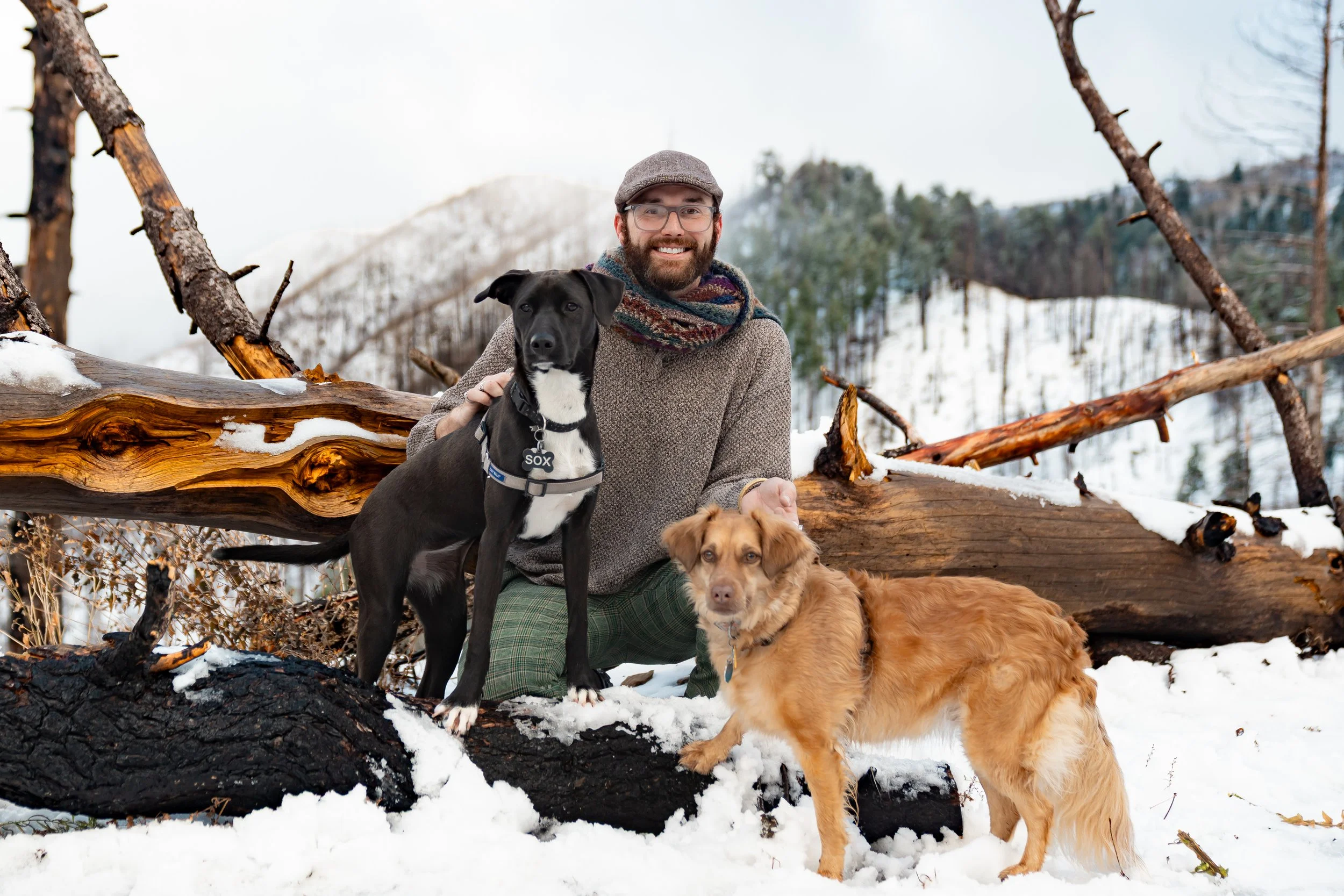 A man with glasses, wearing a cap and scarf, kneels in snow with two dogs in a snowy forest. One dog is black and white with a collar labeled 'SOX,' and the other is a fluffy tan-colored dog.