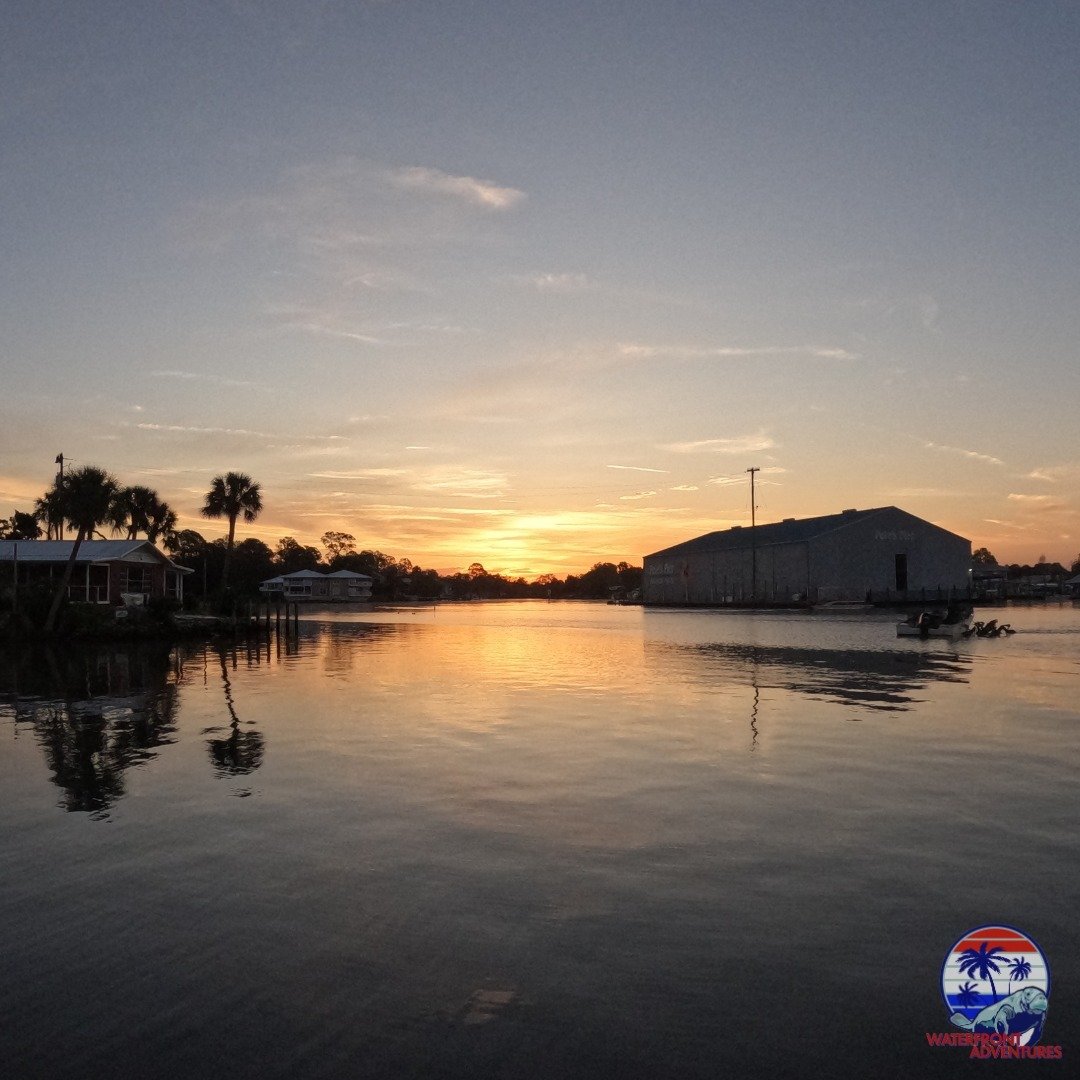 Whether you're an early riser seeking the serenity of dawn or a sunset enthusiast captivated by the allure of twilight, we offer two remarkable options to immerse yourself in the natural splendor of the Crystal River area: our Sunrise Manatee Tour an