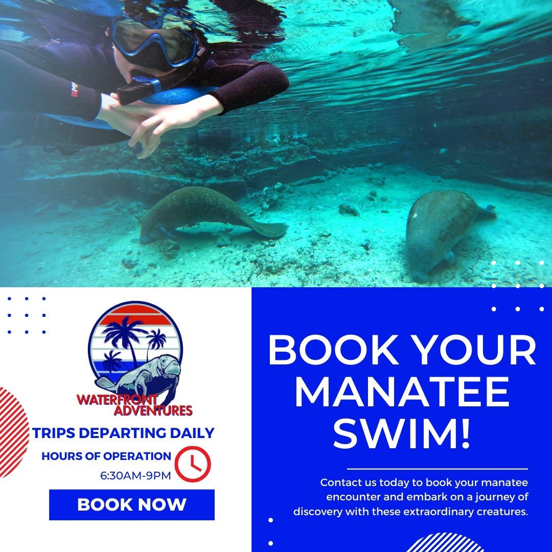 With trips leaving multiple times daily, finding the perfect time to embark on your manatee swim adventure has never been easier. Whether you're an early riser eager to catch the sunrise or a sunset enthusiast craving an evening excursion, we've got 