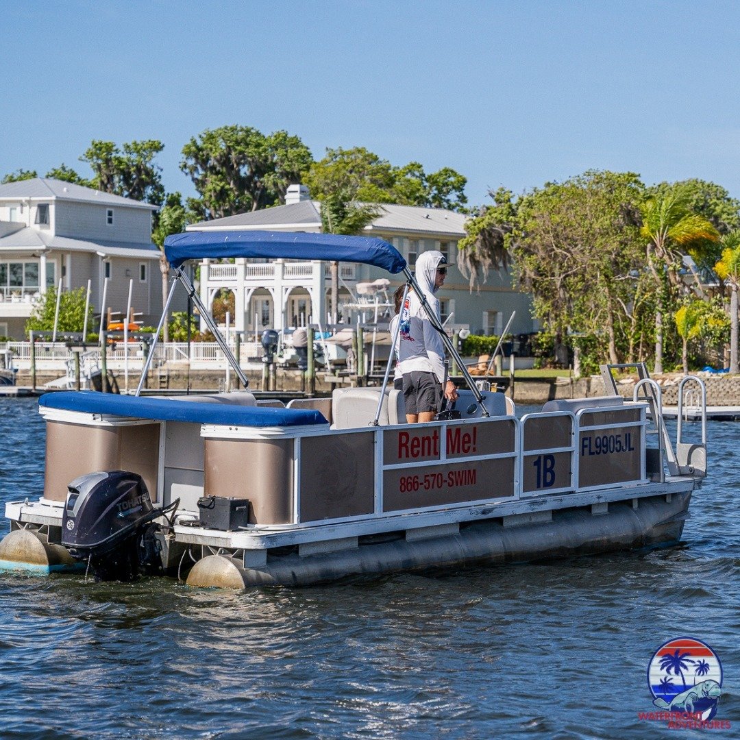 If self-exploration is what you're after, we have options for that too! Check out our line of rental options from kayaks, to pontoon boats! Cruise around Kings Bay at your own pace, grab lunch on the water at one of the many waterfront dining options