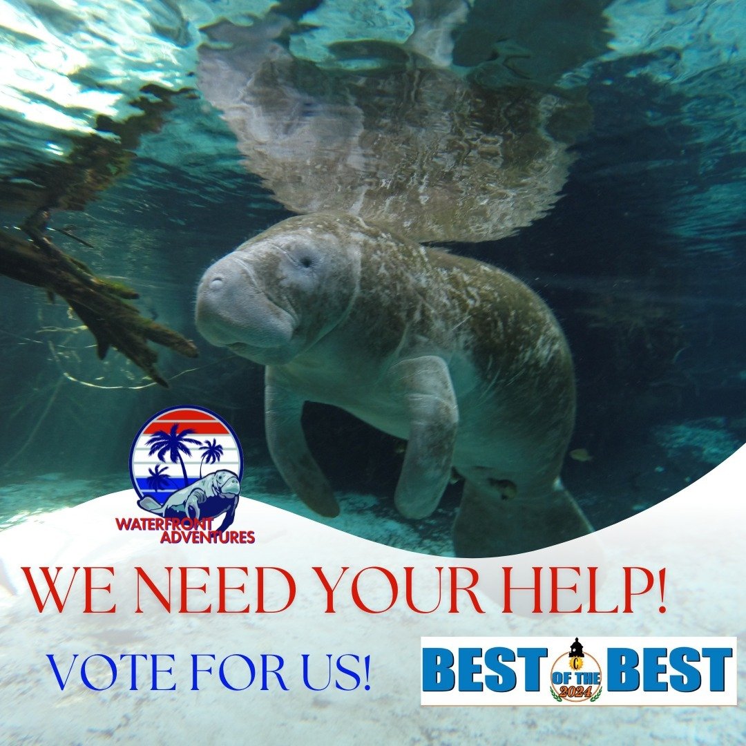 We need your HELP!! We're asking you, our incredible community of adventurers, to help us clinch the title of Best of The Best 2024 in Citrus County. Your support means the world to us, and with your votes, we can continue to bring the magic of the w