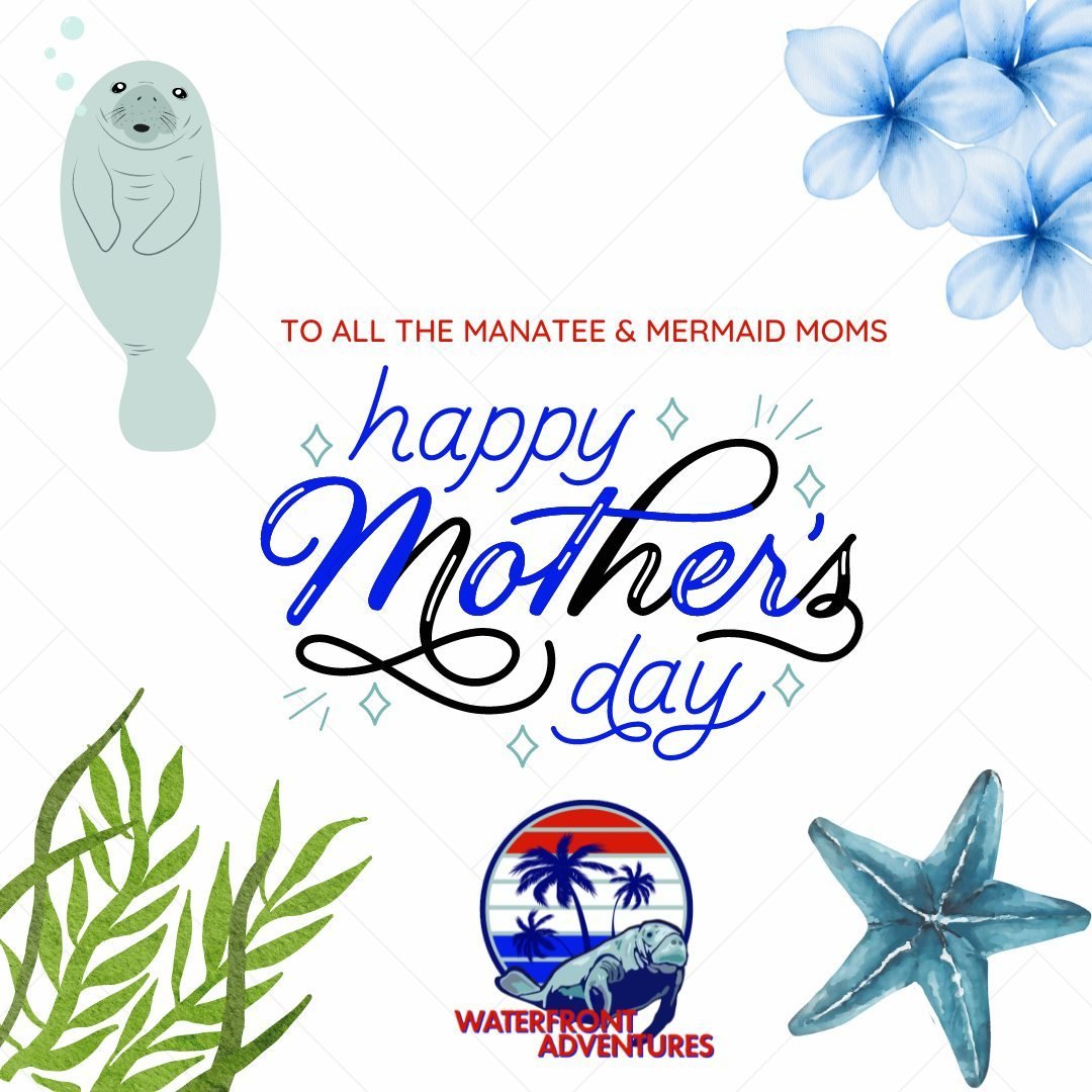 To all the moms out there &ndash; whether you're a human mom, a manatee mom, or a mom to fur babies &ndash; we wish you a day filled with joy, laughter, and cherished moments with your loved ones. Thank you for everything you do, today and every day.