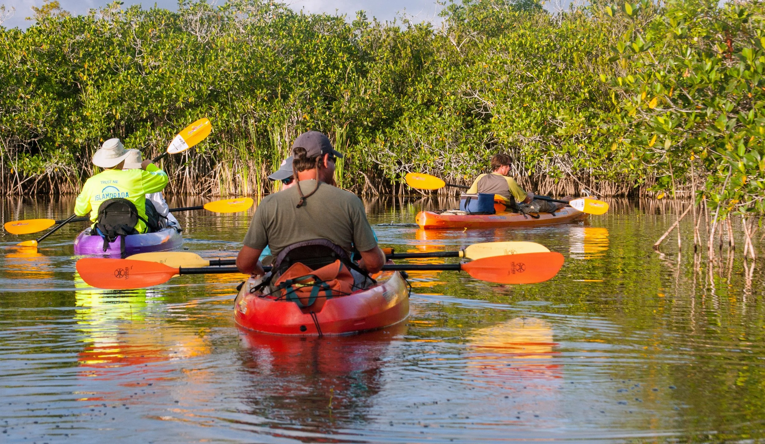 Why January Is THE Month for a Crystal River Water Adventure with Paddletail Waterfront Adventures