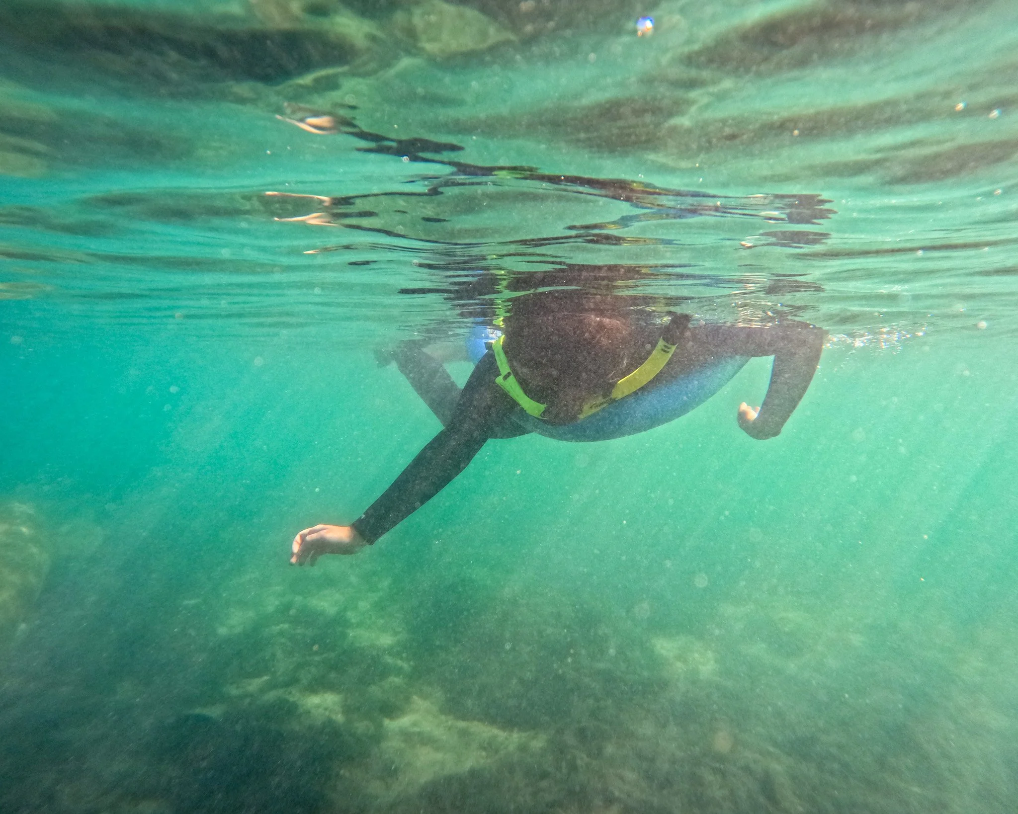 Early Spring in Crystal River: Why Now Is the Perfect Time to Explore with Paddletail Waterfront Adventures