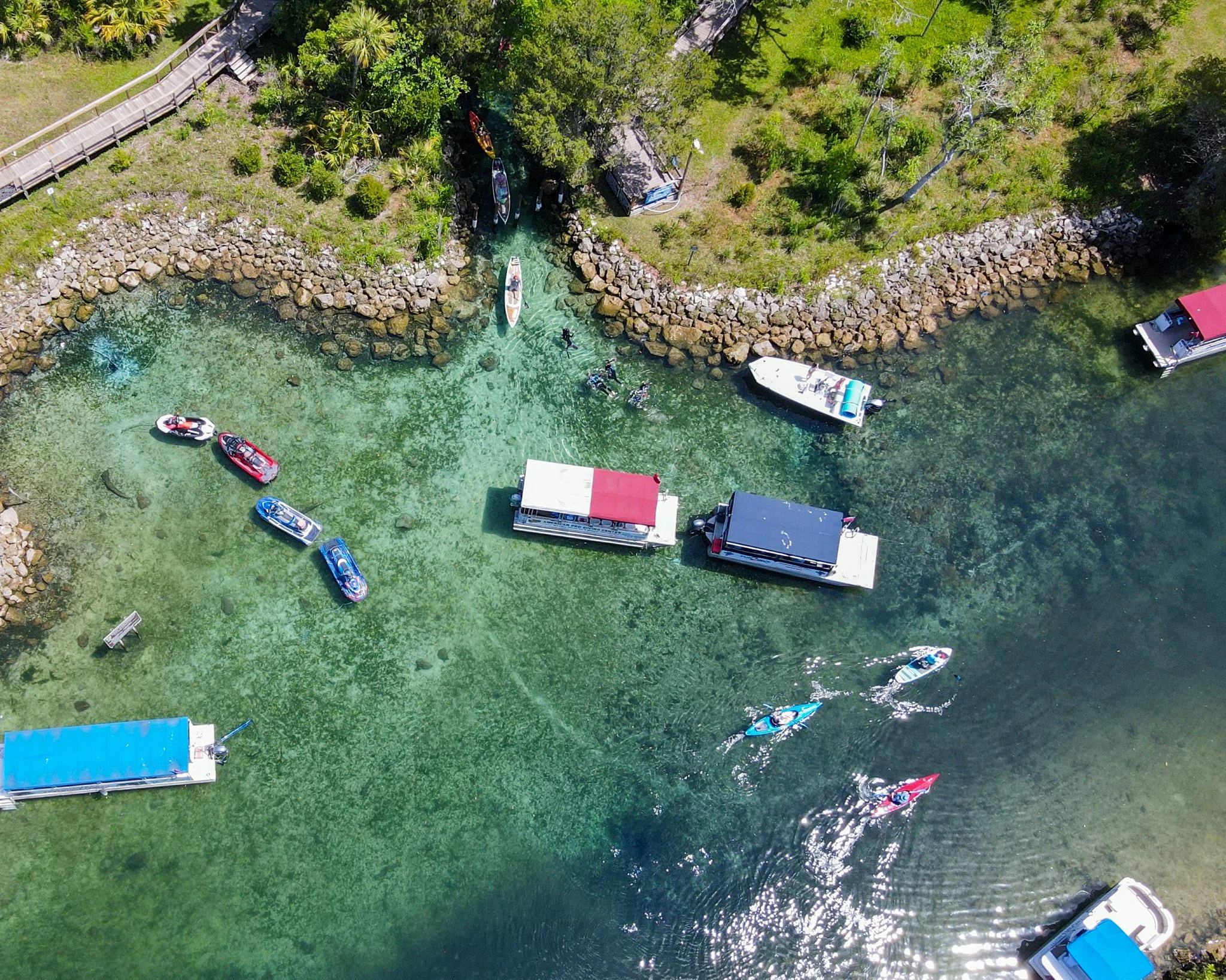 Spring Break in Crystal River: Unique Water Adventures with Paddletail Waterfront Adventures