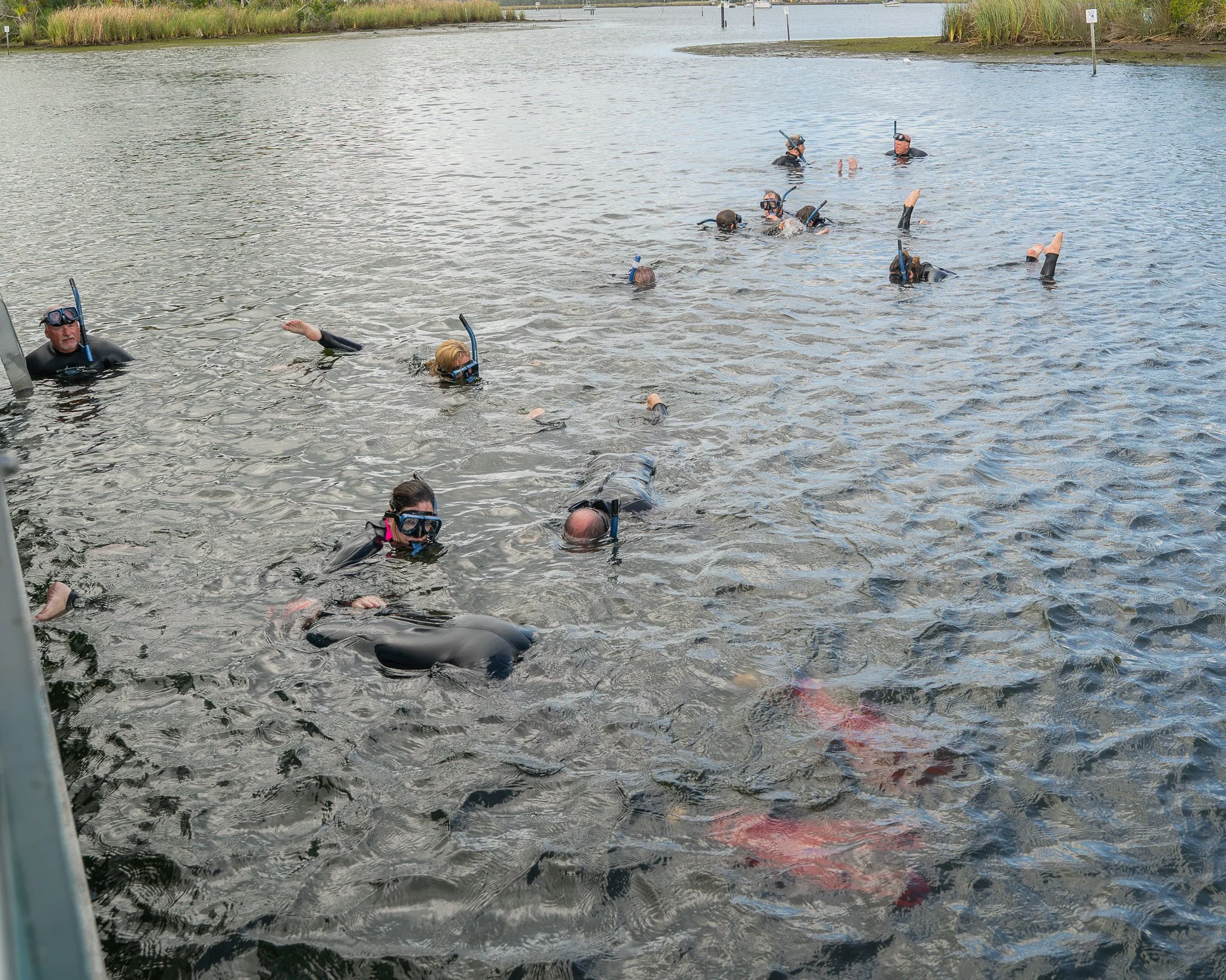 End-of-Season Manatee Tours &amp; Spring Water Adventures in Crystal River