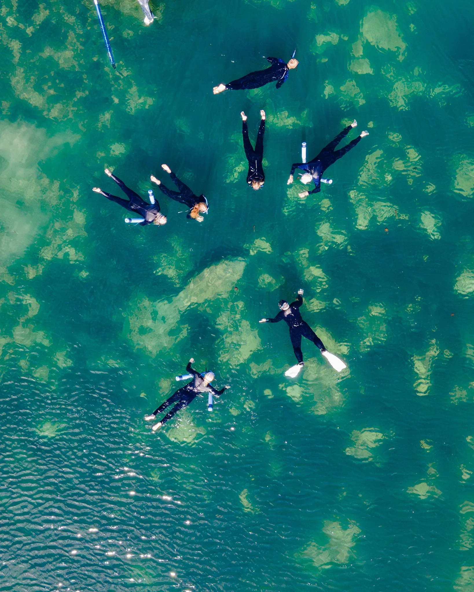 Spring Transition on the Water: Why Late April Is the Best Time to Explore Crystal River by Kayak &amp; Boat