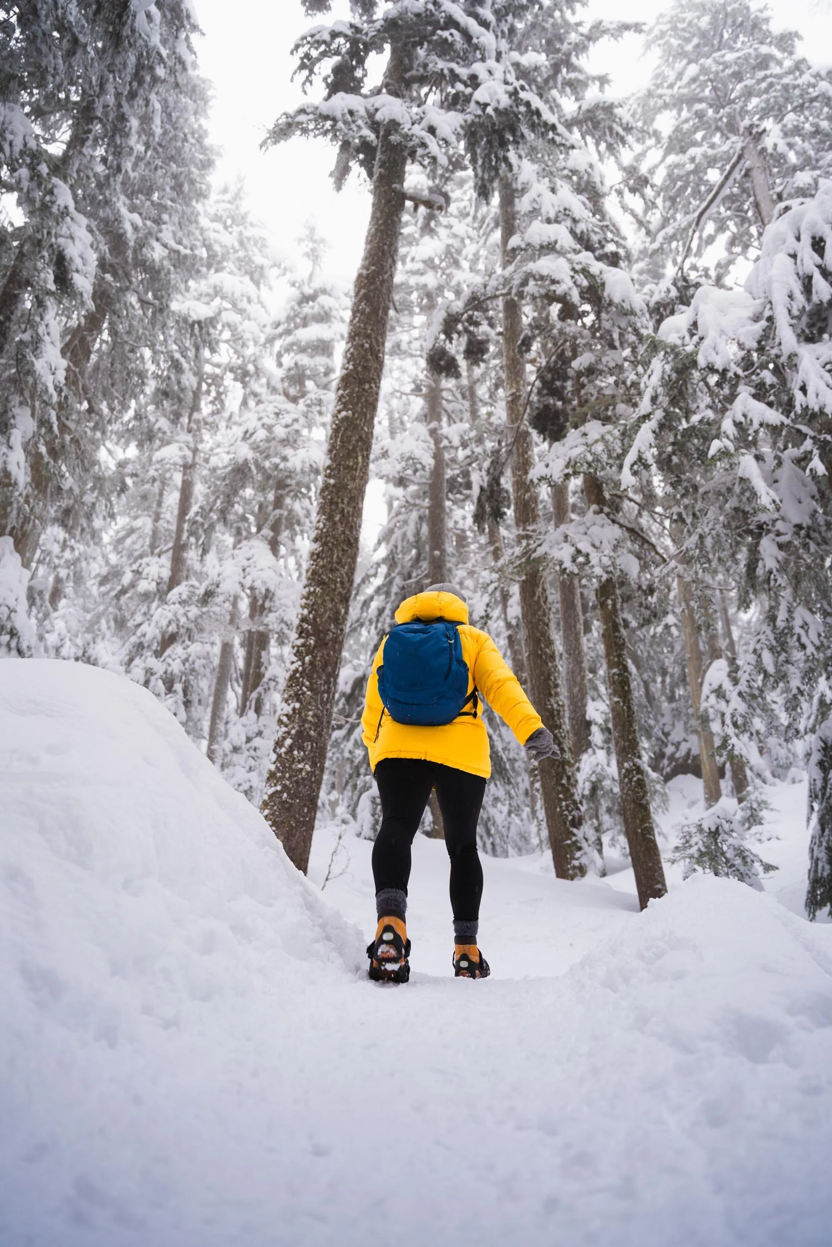 Yellow Jacket Snowy Hike Vancouver.jpg