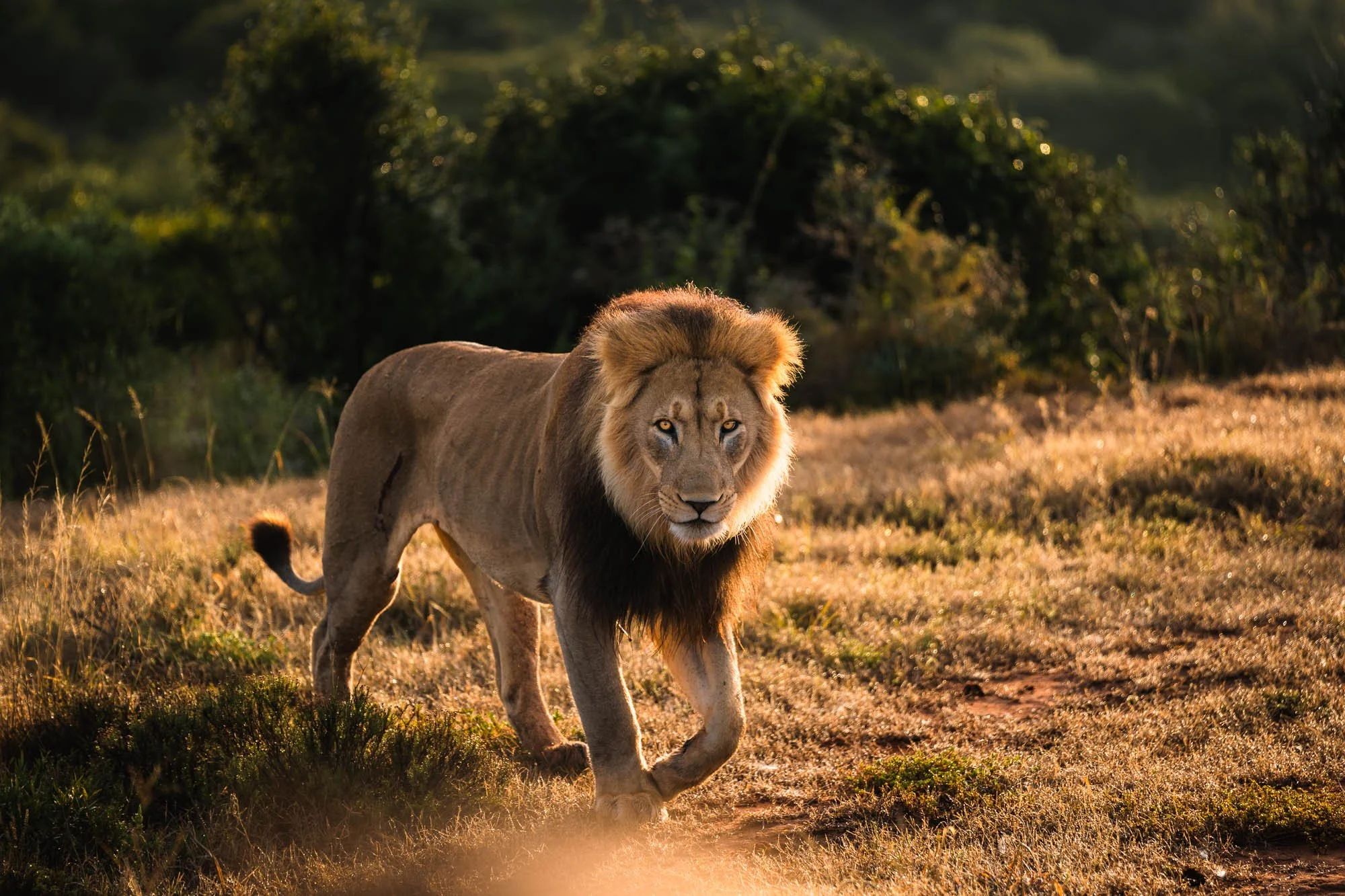 RAL05980.jpg