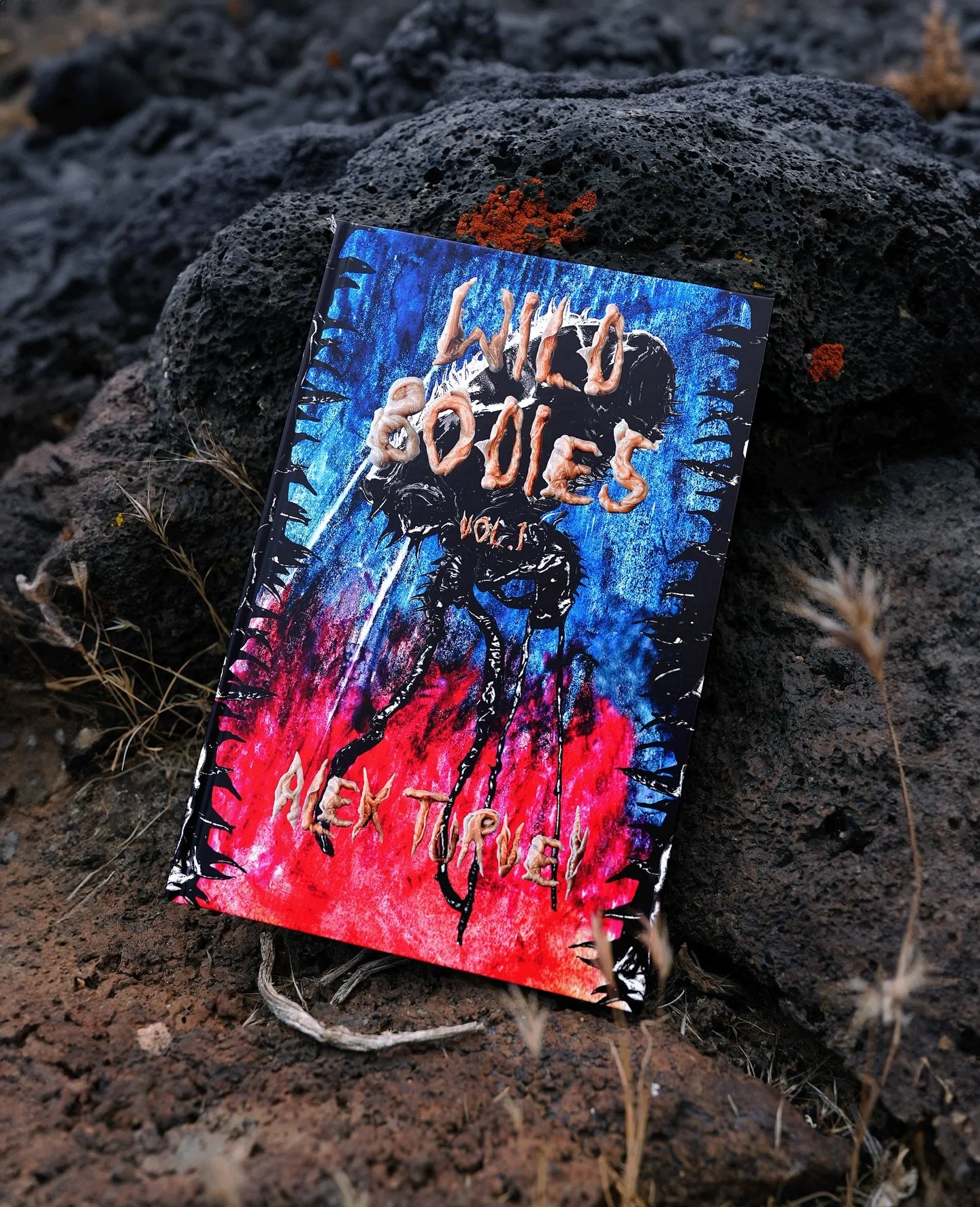 &lsquo;Wild Bodies Vol. 1&rsquo;, a collection of twenty-one short stories exploring the intersection of wild landscapes and mental health. Pre-order book: link in bio / bodypress.co.uk

It&rsquo;s been a week since I released the pre-order for my bo