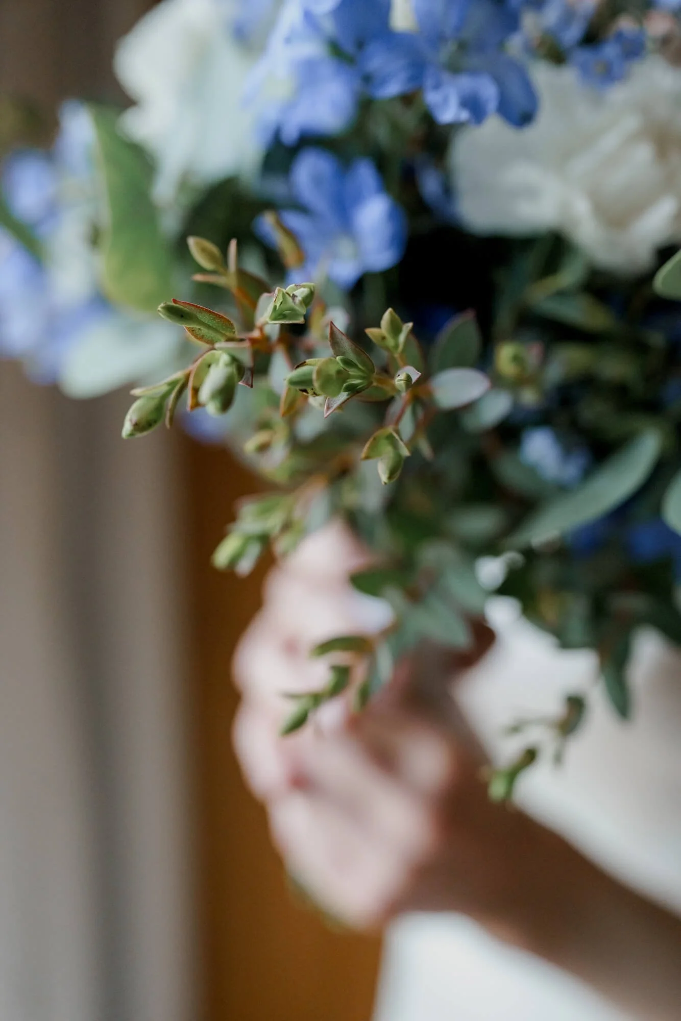 Flowers details close up photography