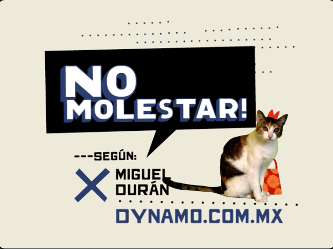 Canal Fox ¡No Molestar!
