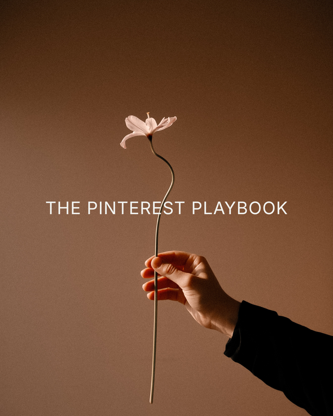The Pinterest Playbook