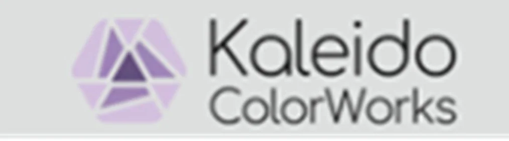 Kaleido ColorWorks logo with purple and black geometric shapes and text