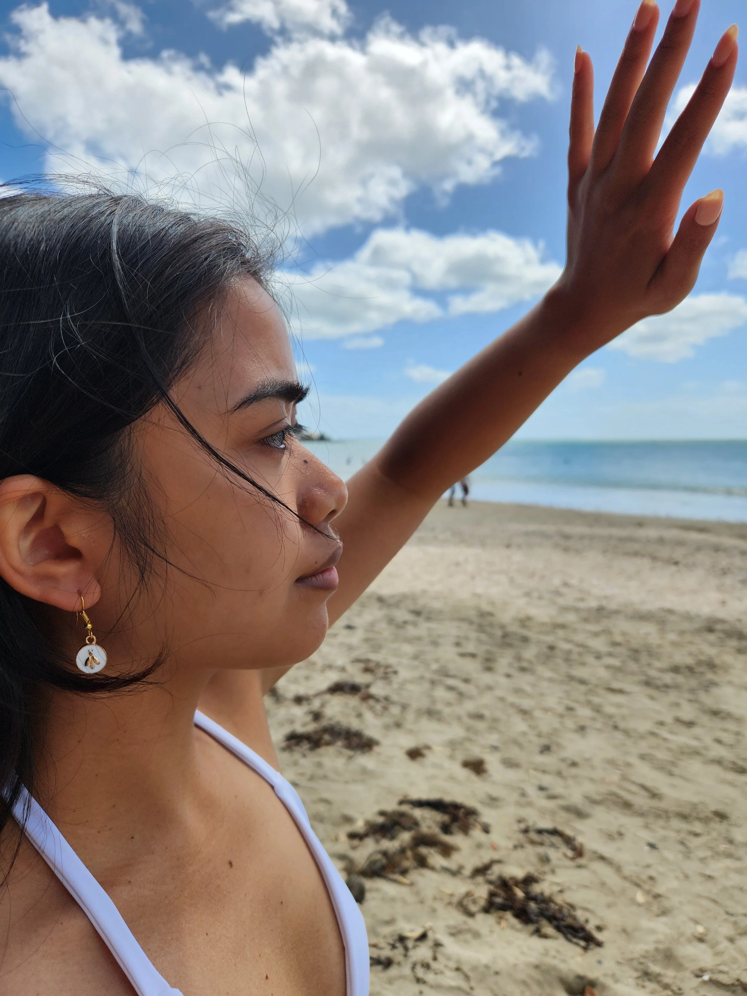 Bee Earrings - Various Colours