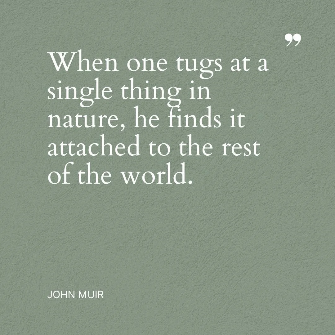 &ldquo;When one tugs at a single thing in nature, he finds it attached to the rest of the world.&rdquo; &mdash; John Muir

This quote speaks deeply to what so many discover through their healing journey.

Nothing in the body exists in isolation.

A s