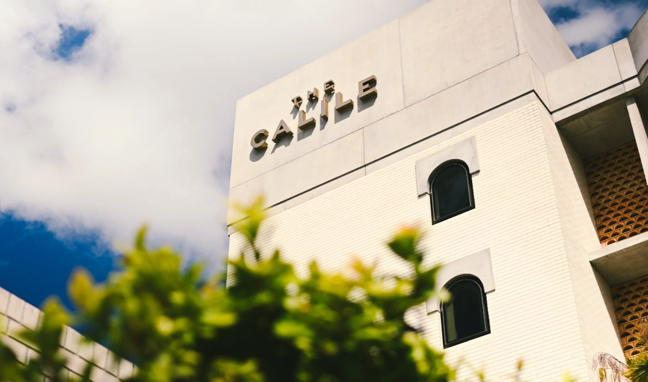 Screenshot 2024-11-27 at 4.24.jpg