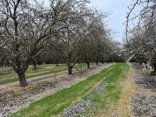 THE PLANNING WINDOW IS OPEN — BUT NOT FOR LONG