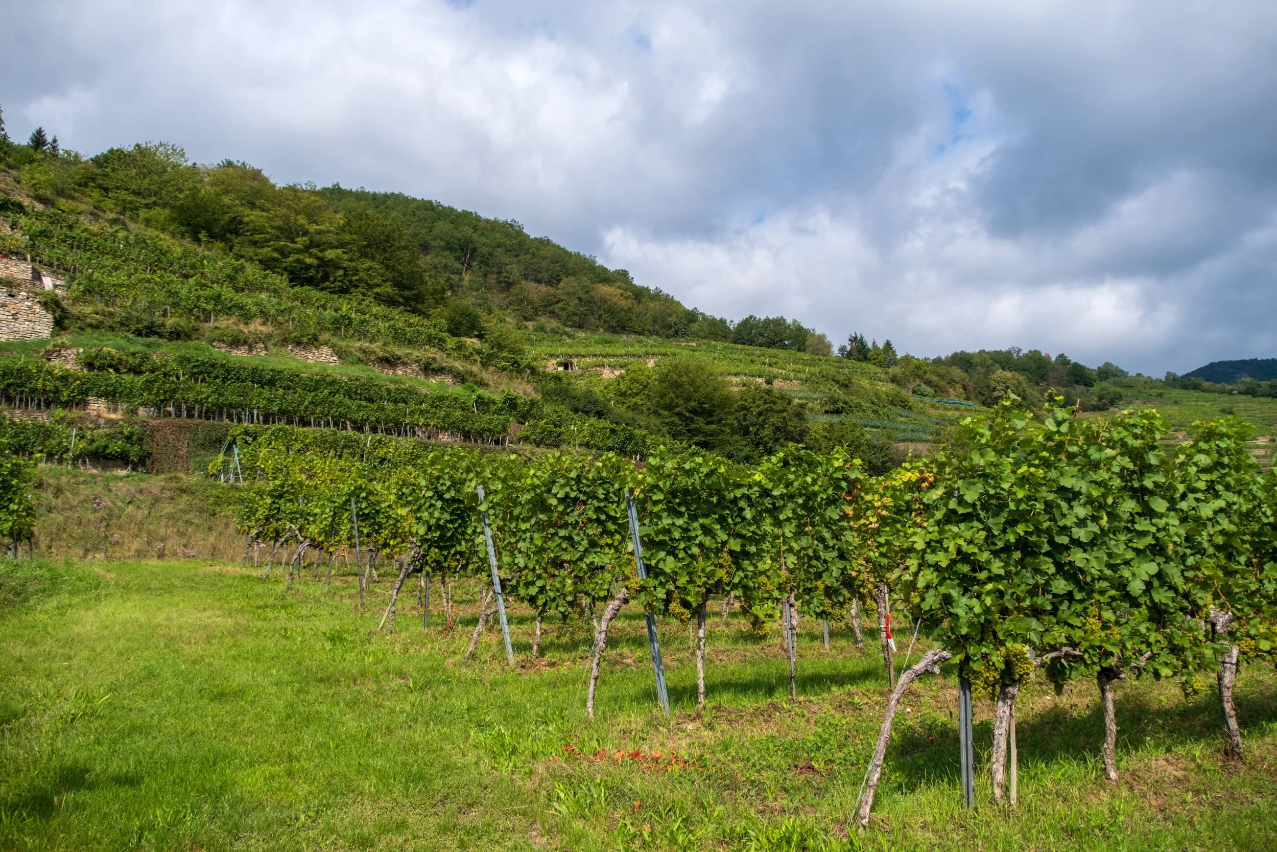 Let's Stop Punishing Farmers Who Are Making Our Food System More Sustainable