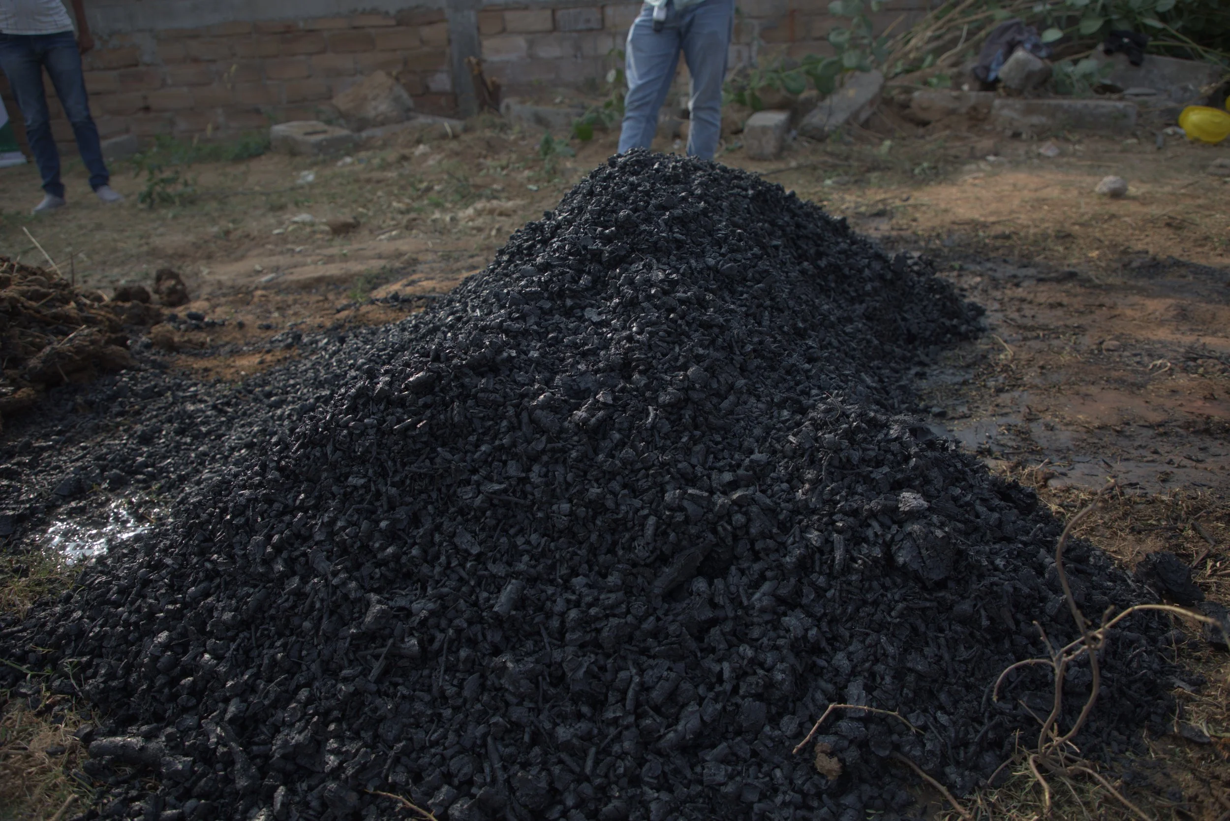 Biochar, Explained: An Ancient Soil Amendment, a Modern Tool