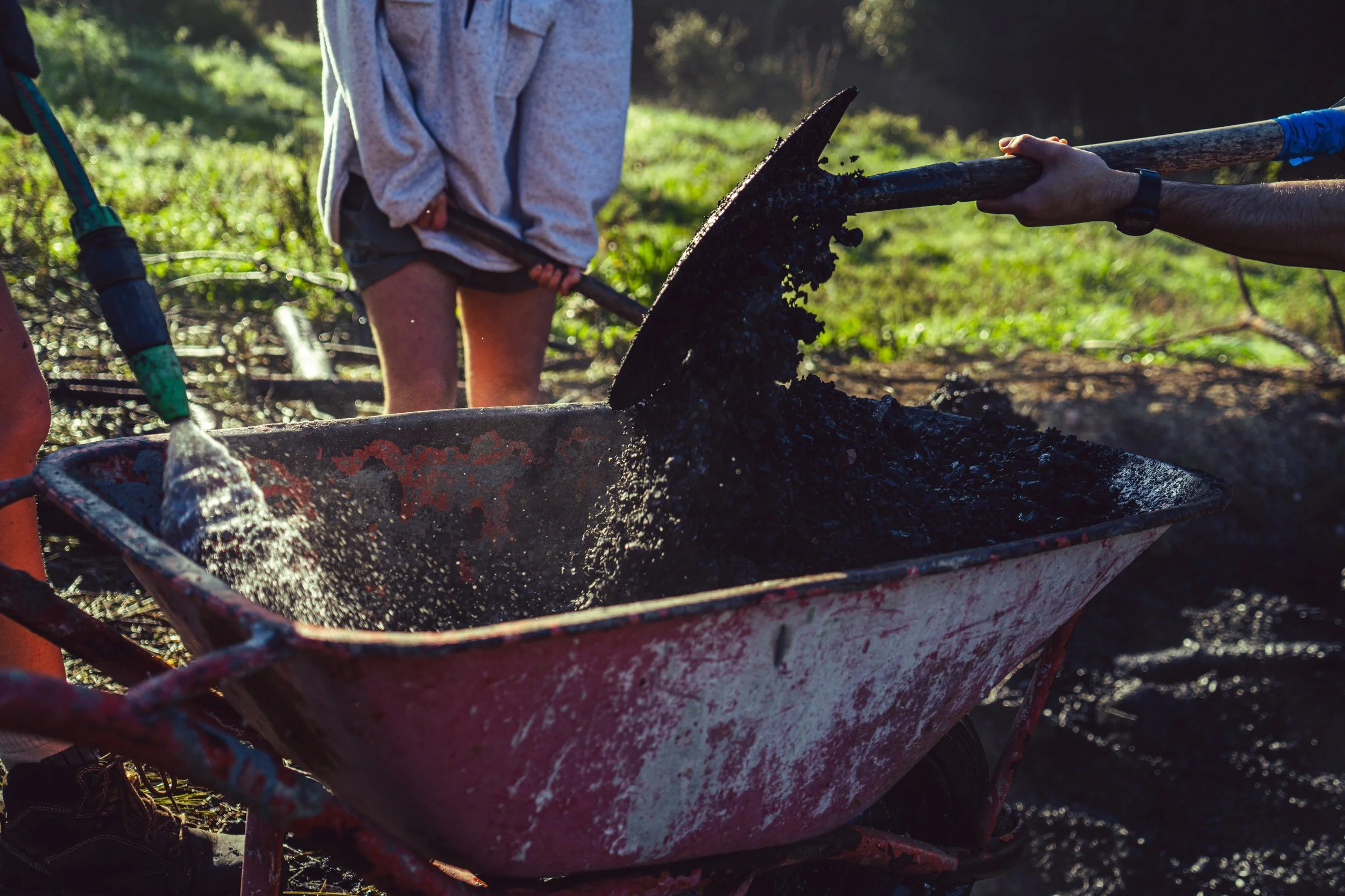 Biochar In The Vineyard: The Evidence So Far