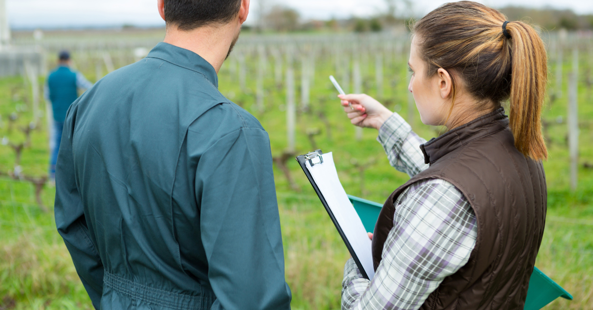 Paying for biochar