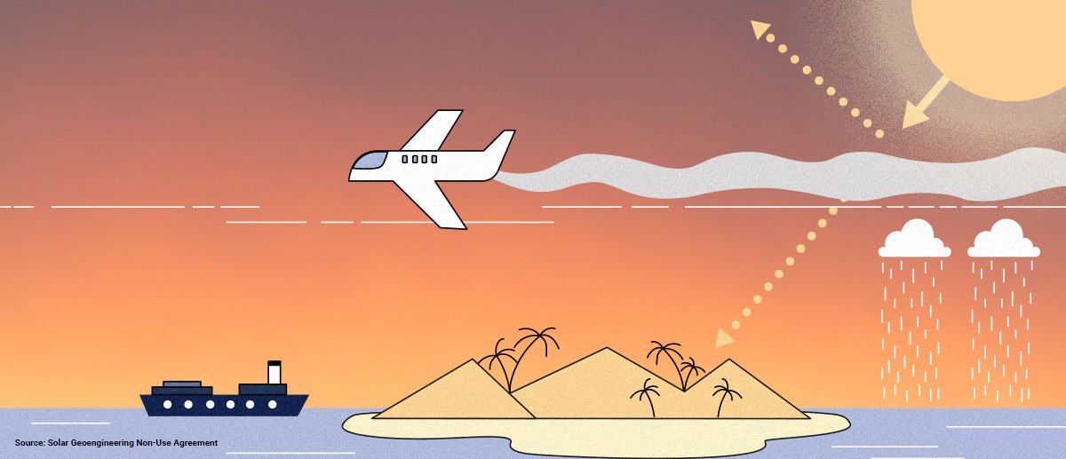 Michael Pollan, Consciousness and Metacrisis - Updates &amp; Events