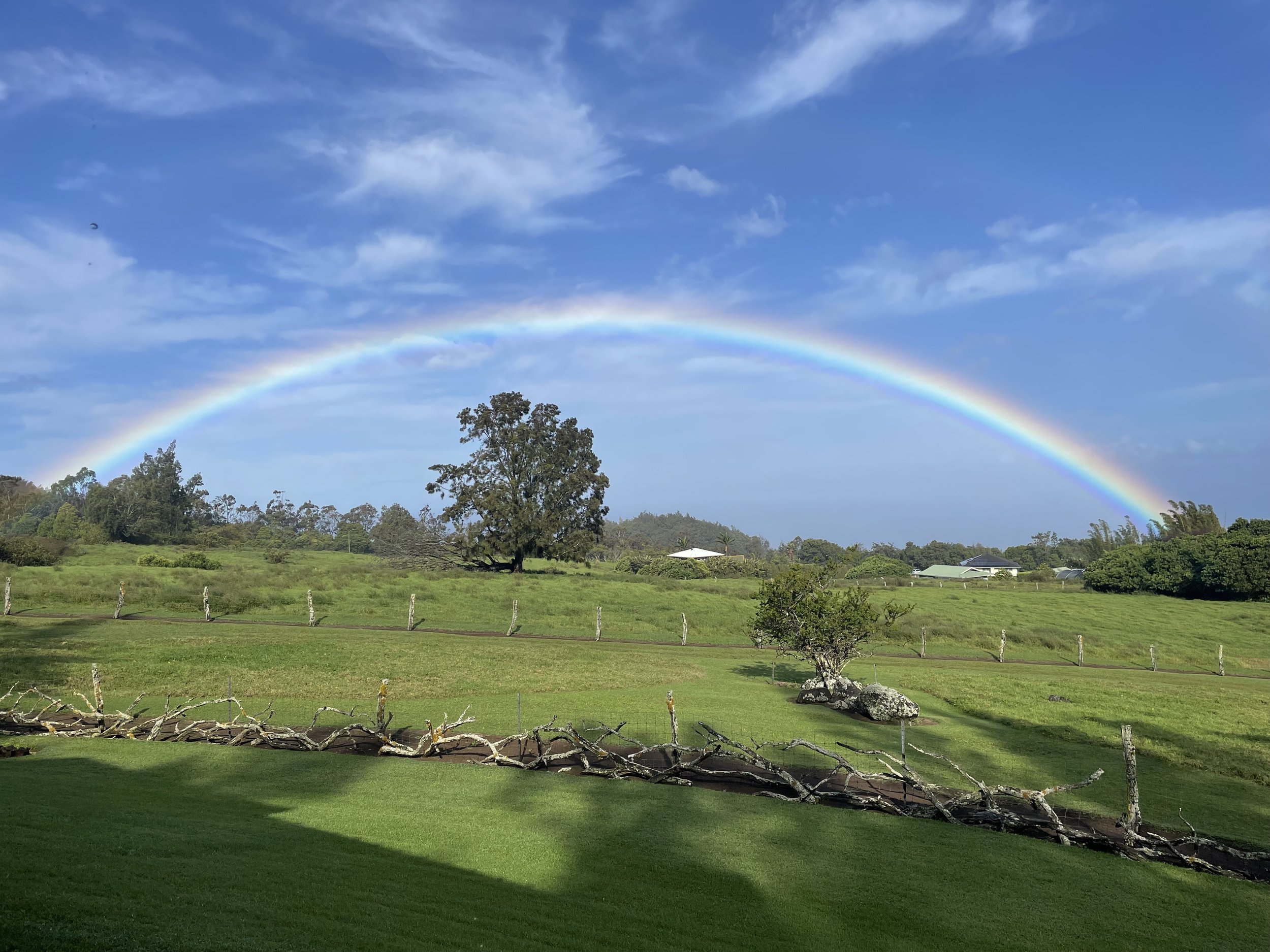 Rainbow in the hills near Hawi