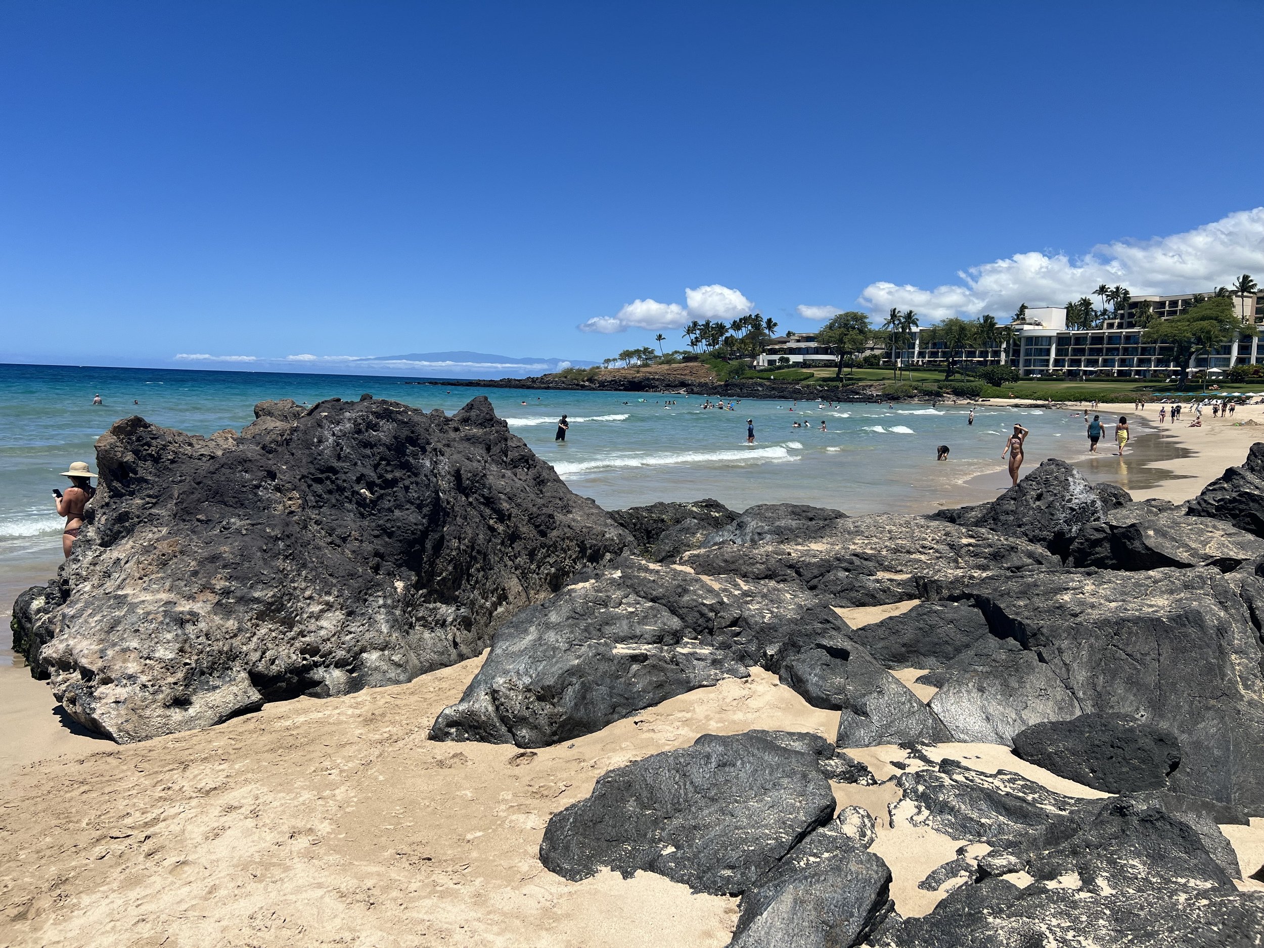 The beach