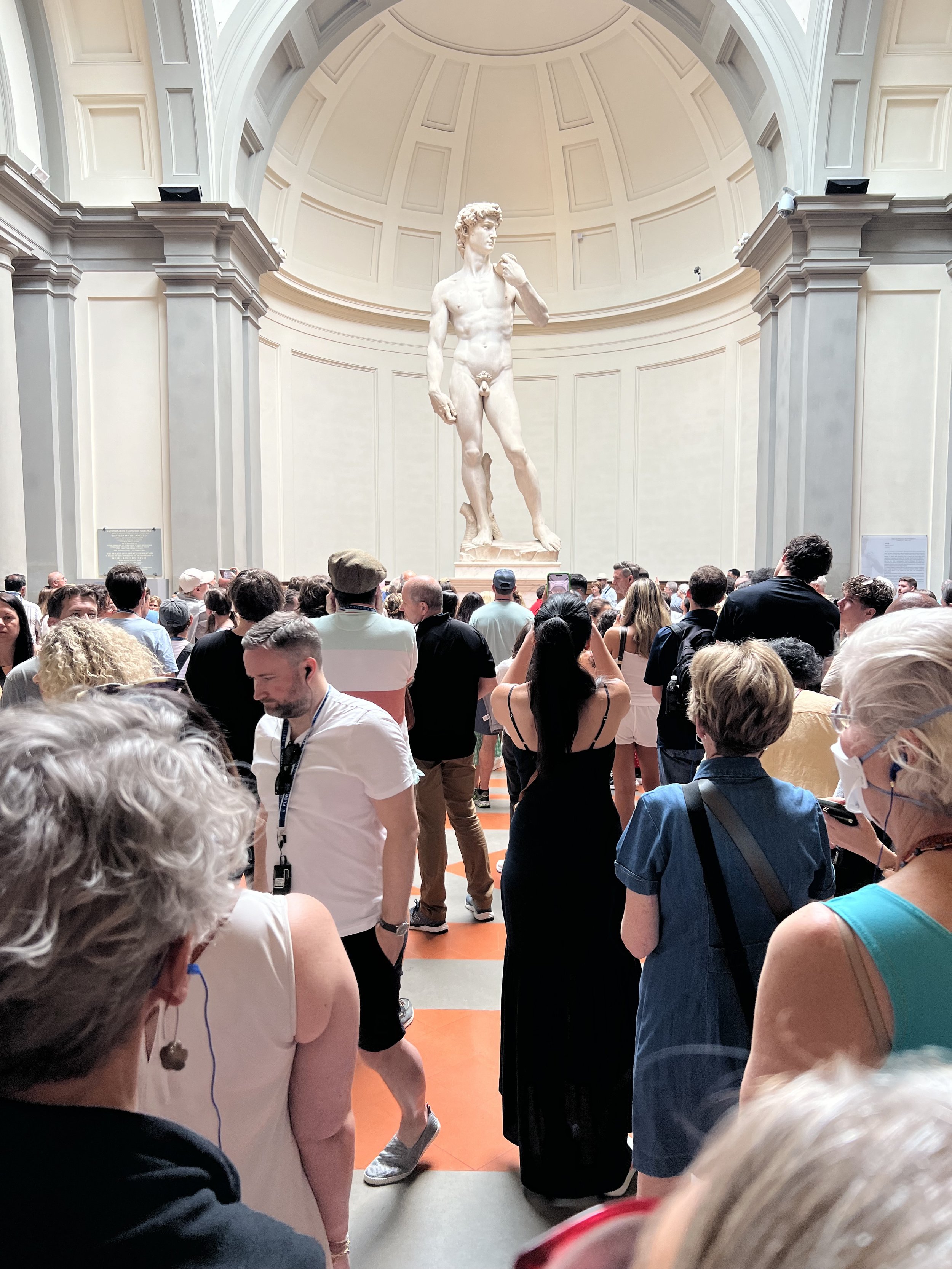 Michelangelo's David in Florence. It was crowded.