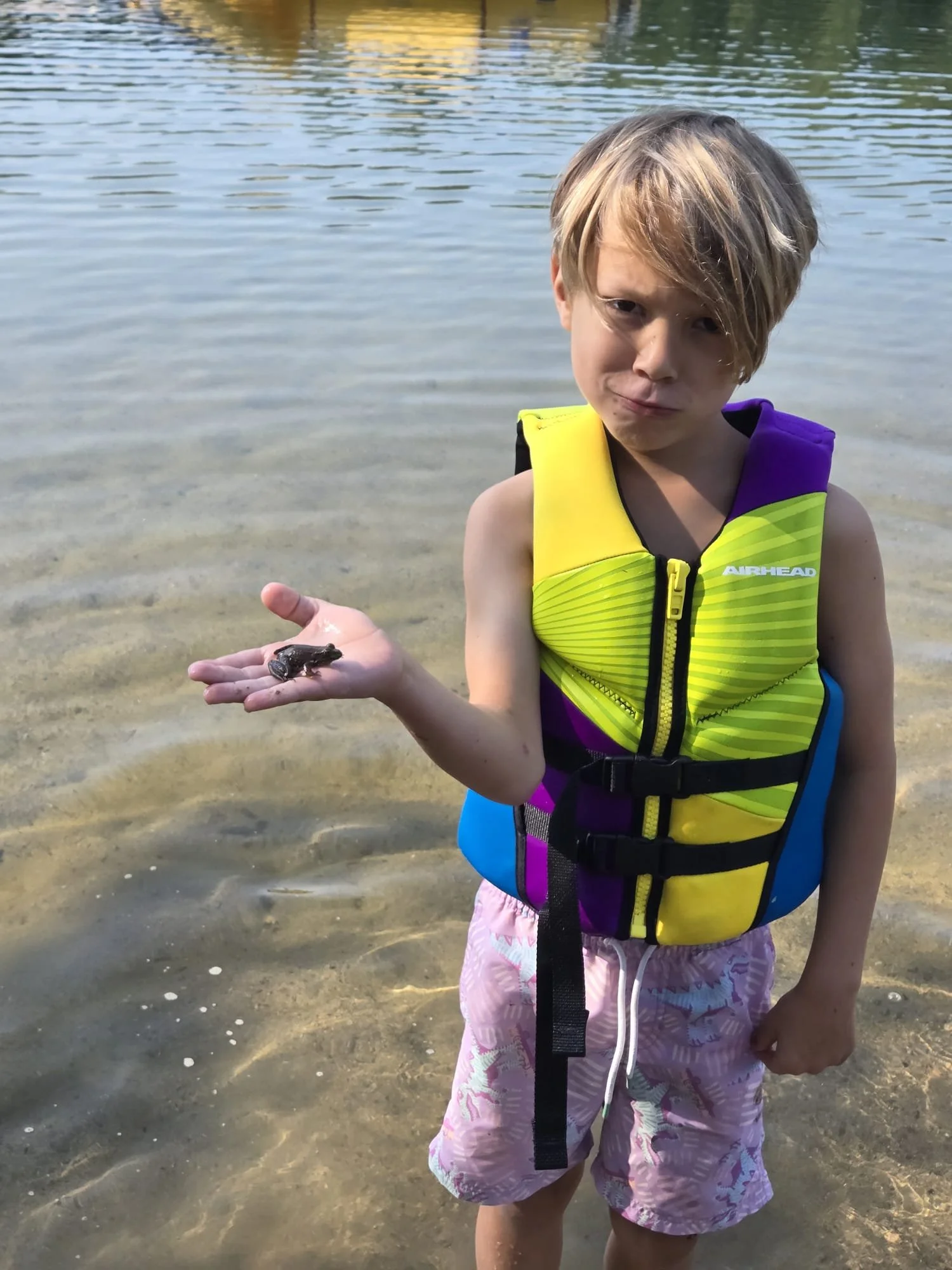 Auggie turtle.jpg