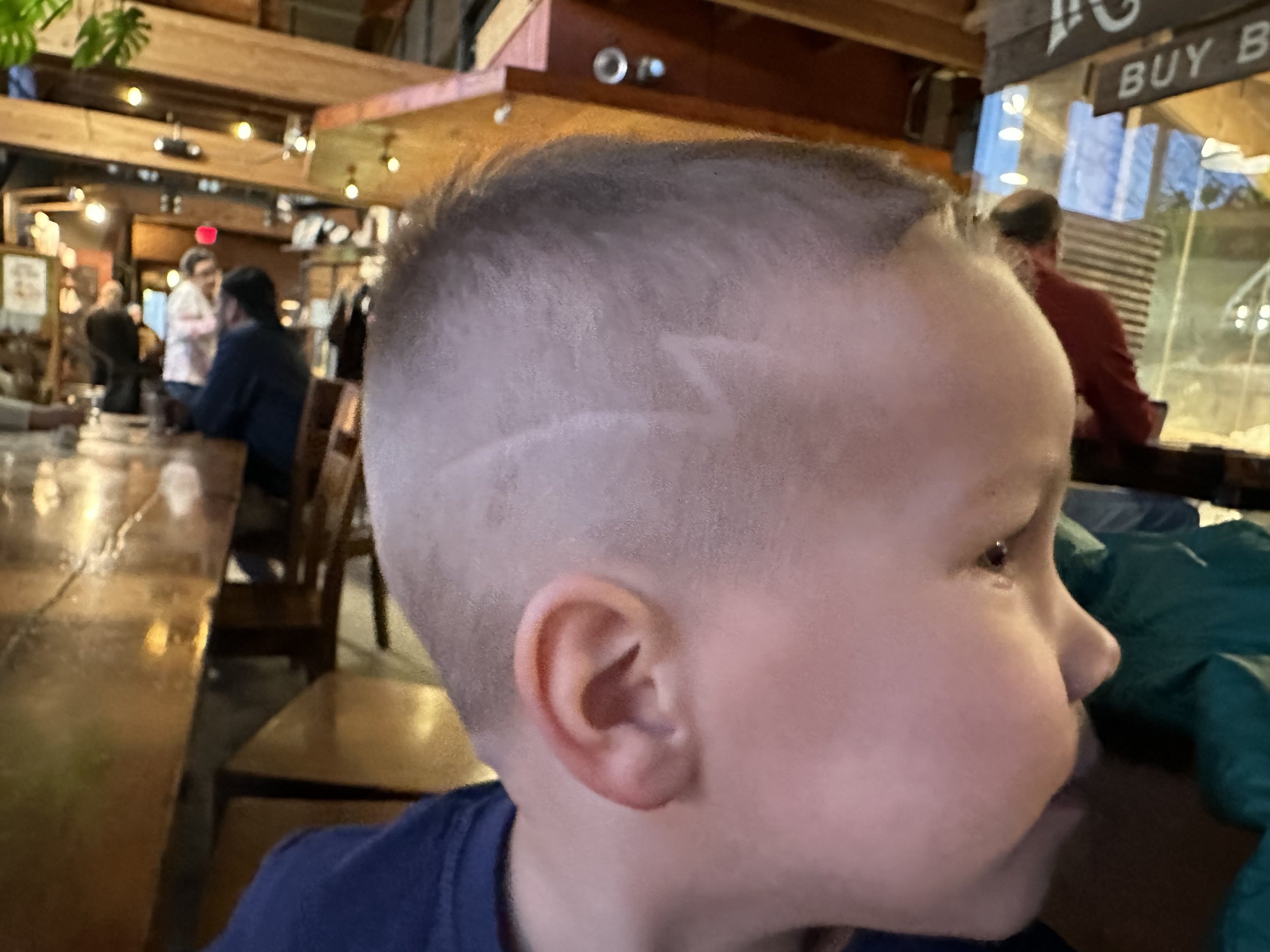 Abe after a haircut in February