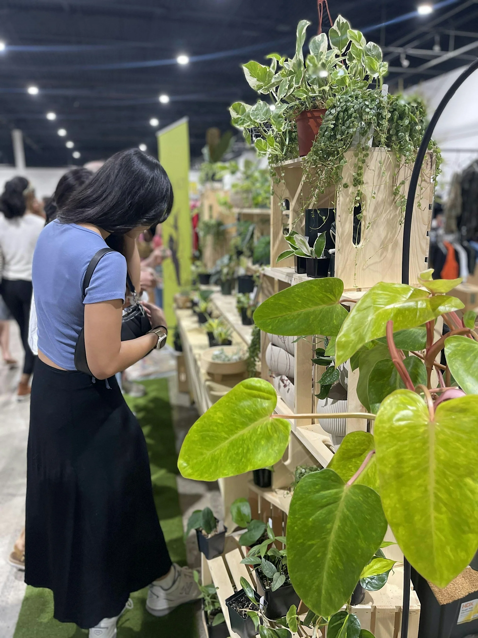 Akoko Botanical Bazaar