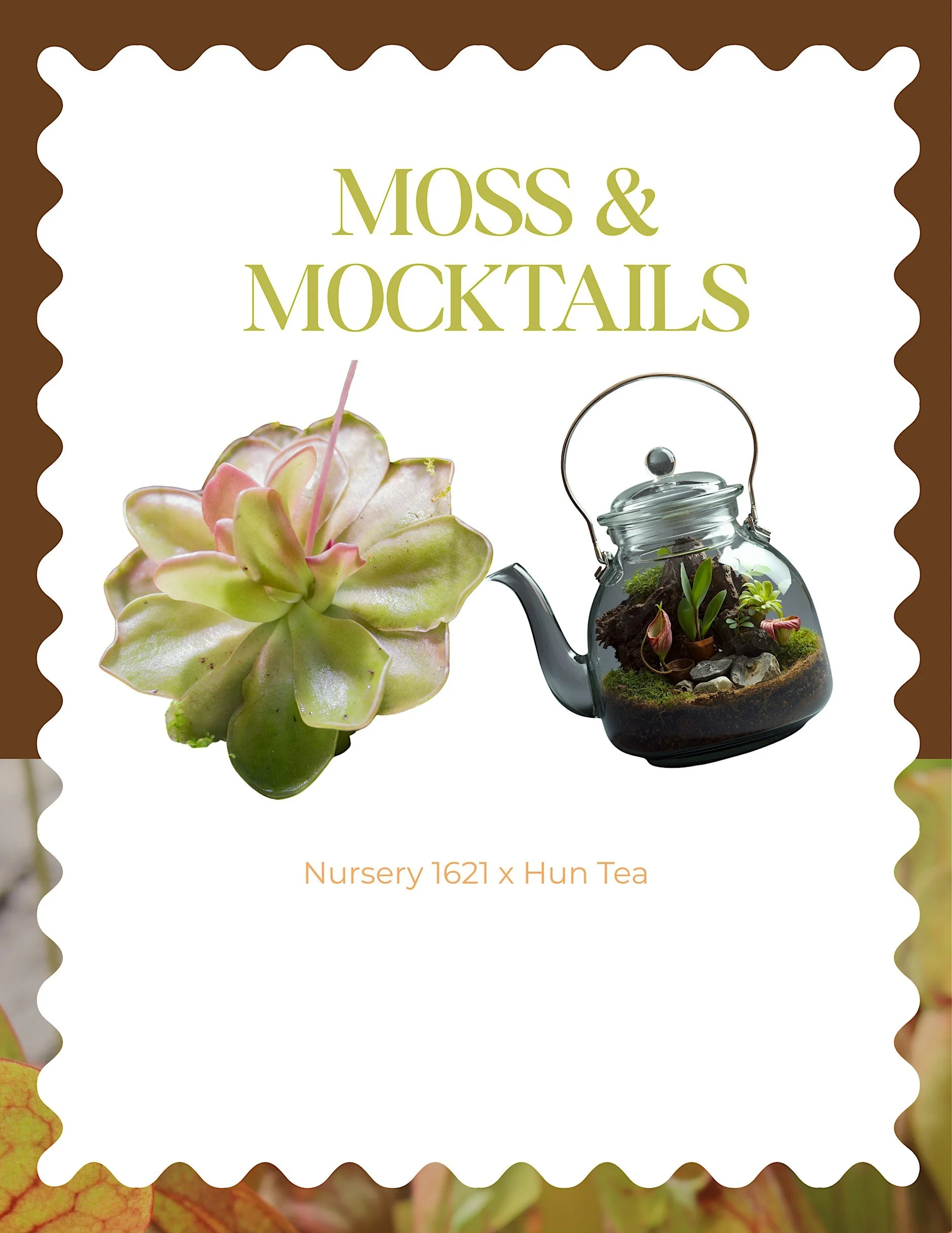 Moss & Mocktails