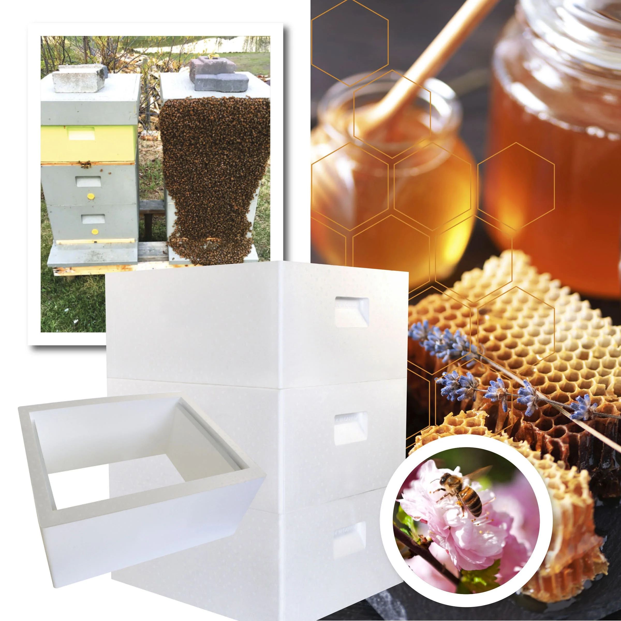 Langstroth honeybee box and honey