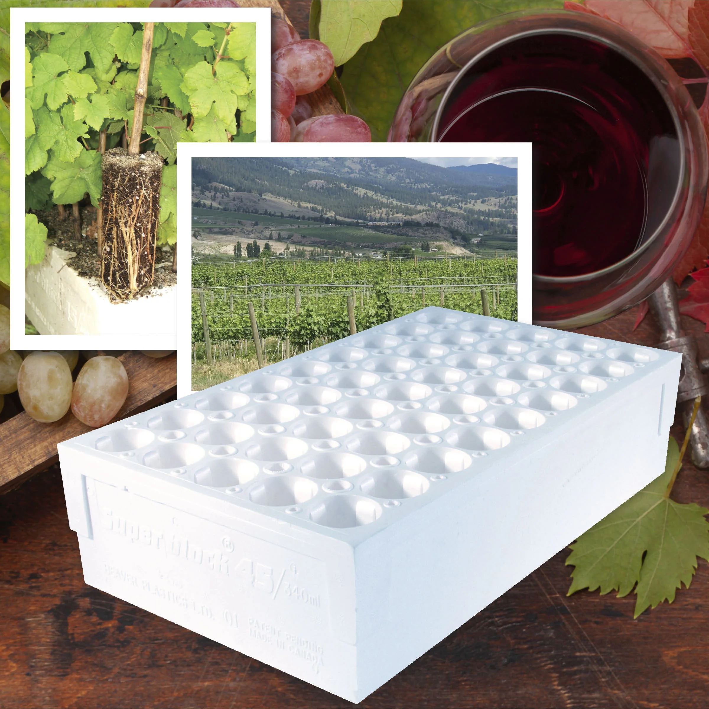 Styroblock containers and wine