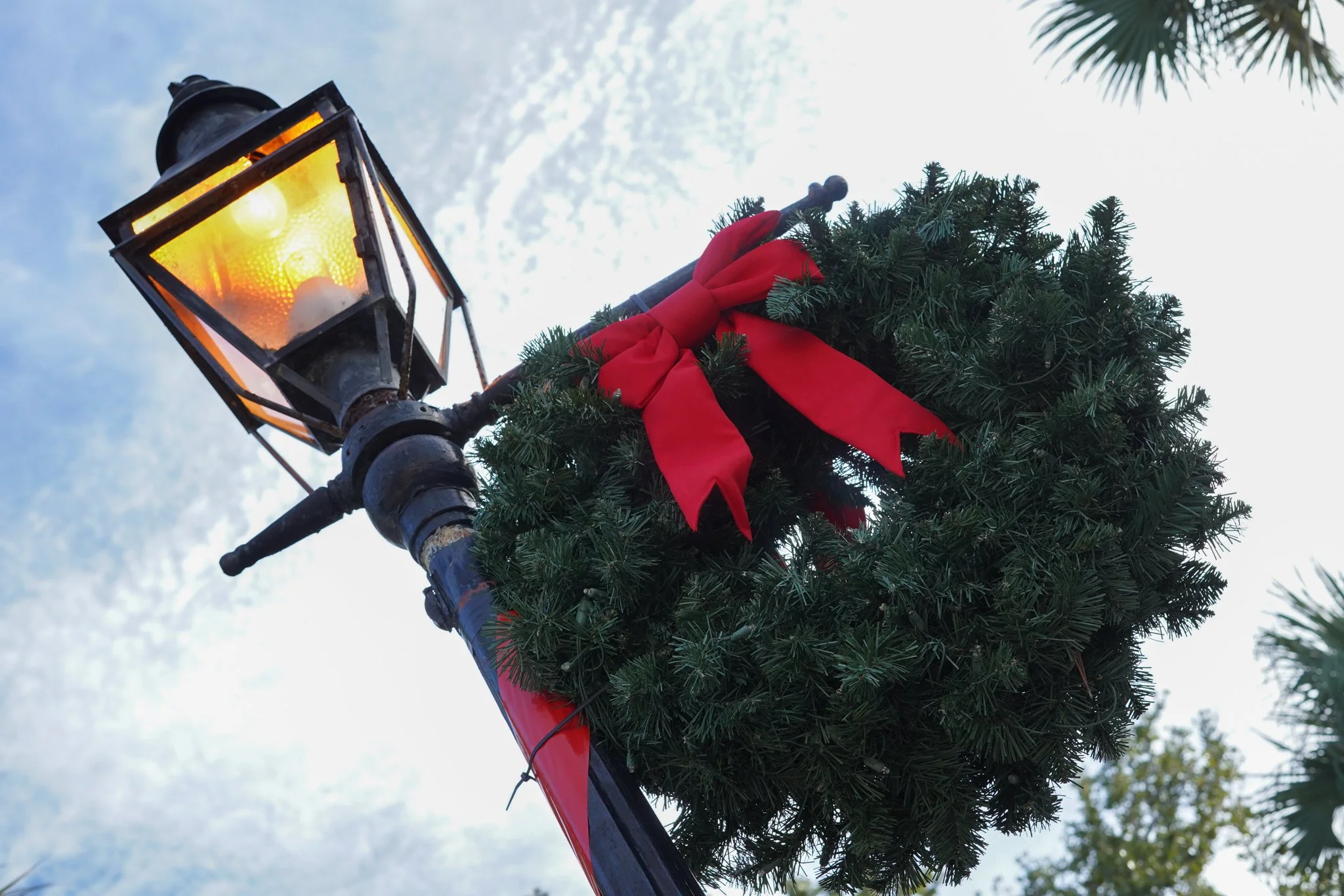 Reefs are attached to the lampposts along St. George Street. (Miller, St. Augustine. November 6, 2025)
