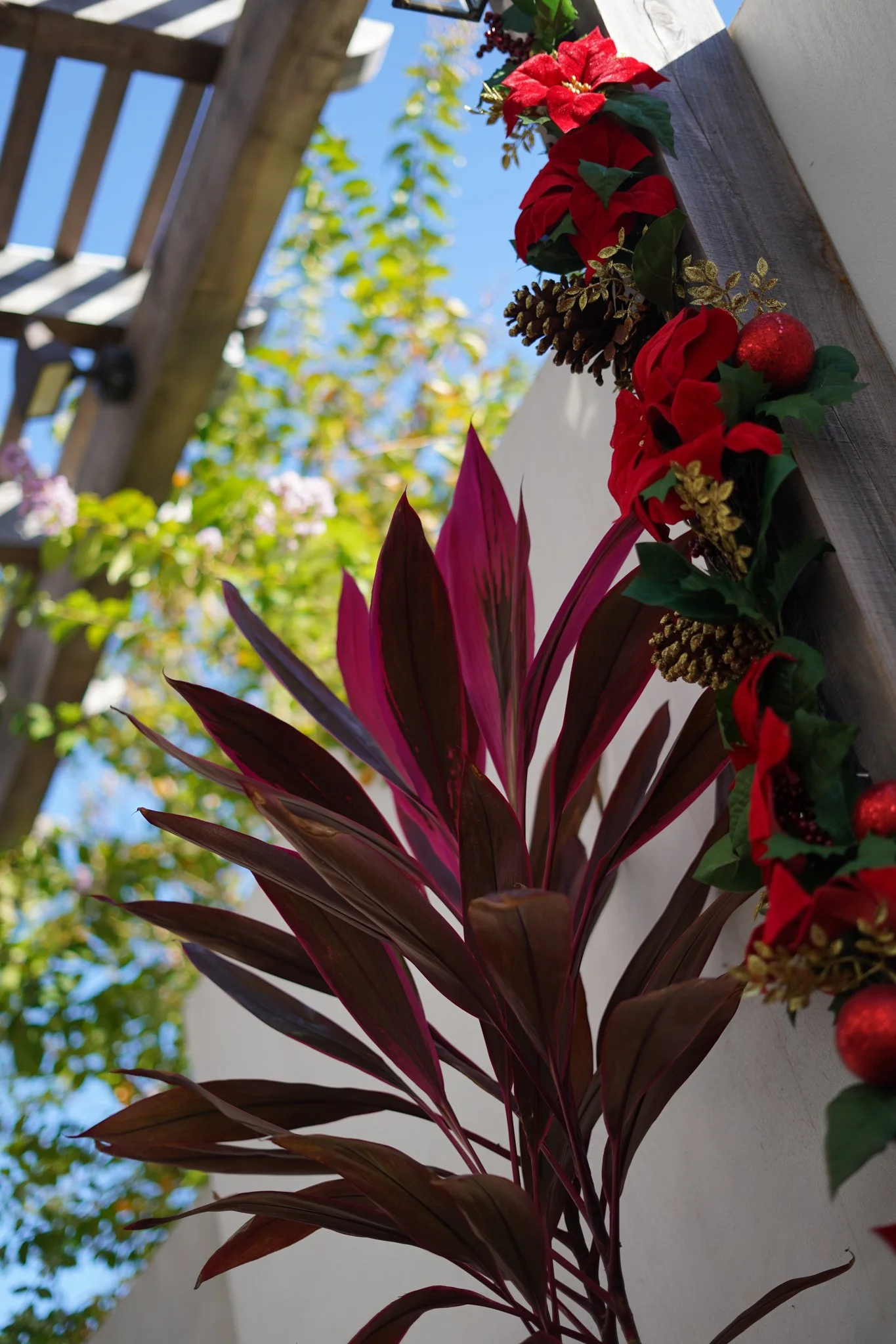 At every corner you can find holiday cheer. (Miller, St. Augustine. November 13, 2025)