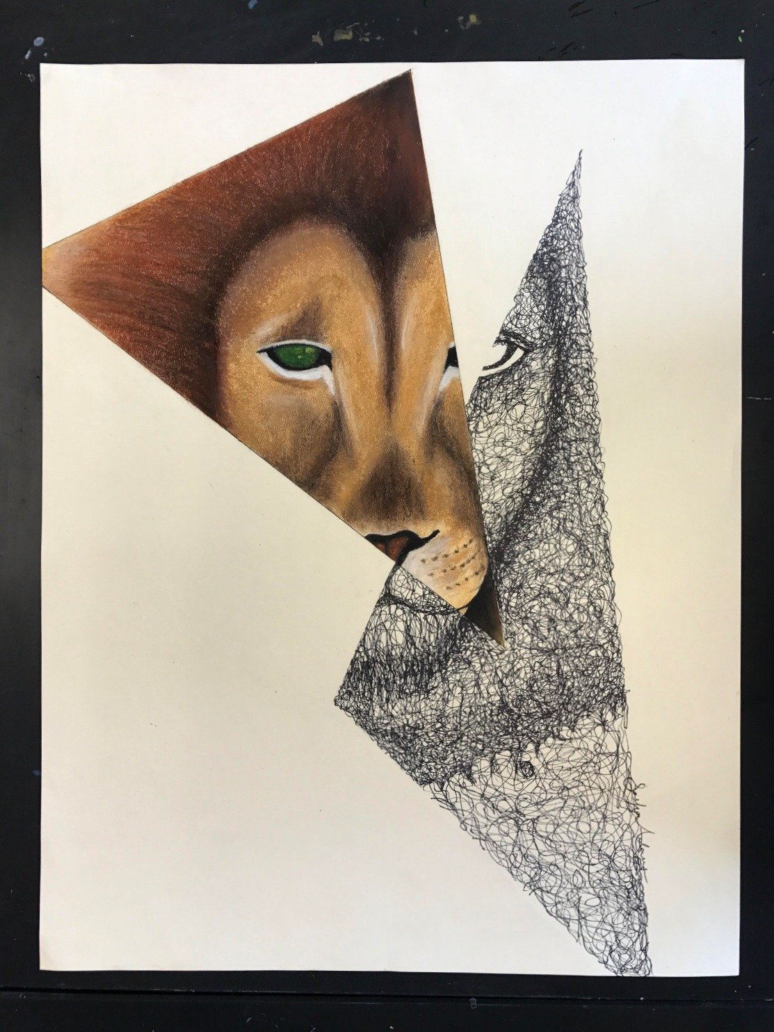 lion_edited.jpeg