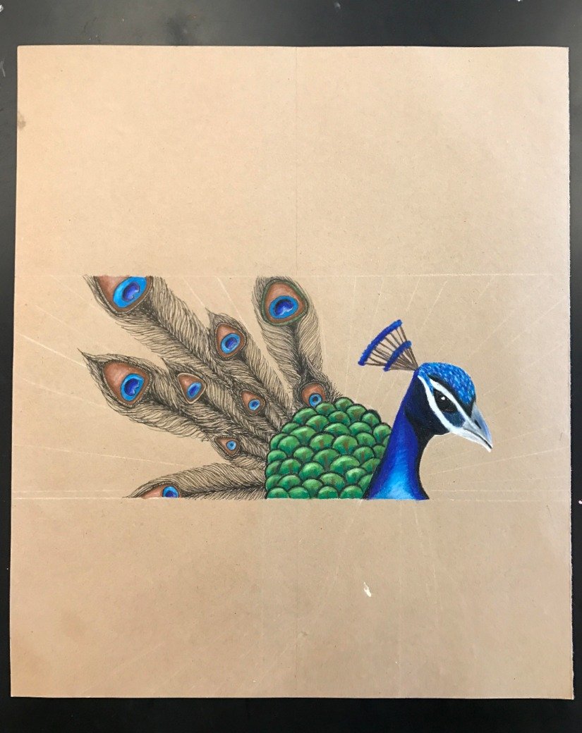 peacock in progress_edited.jpeg