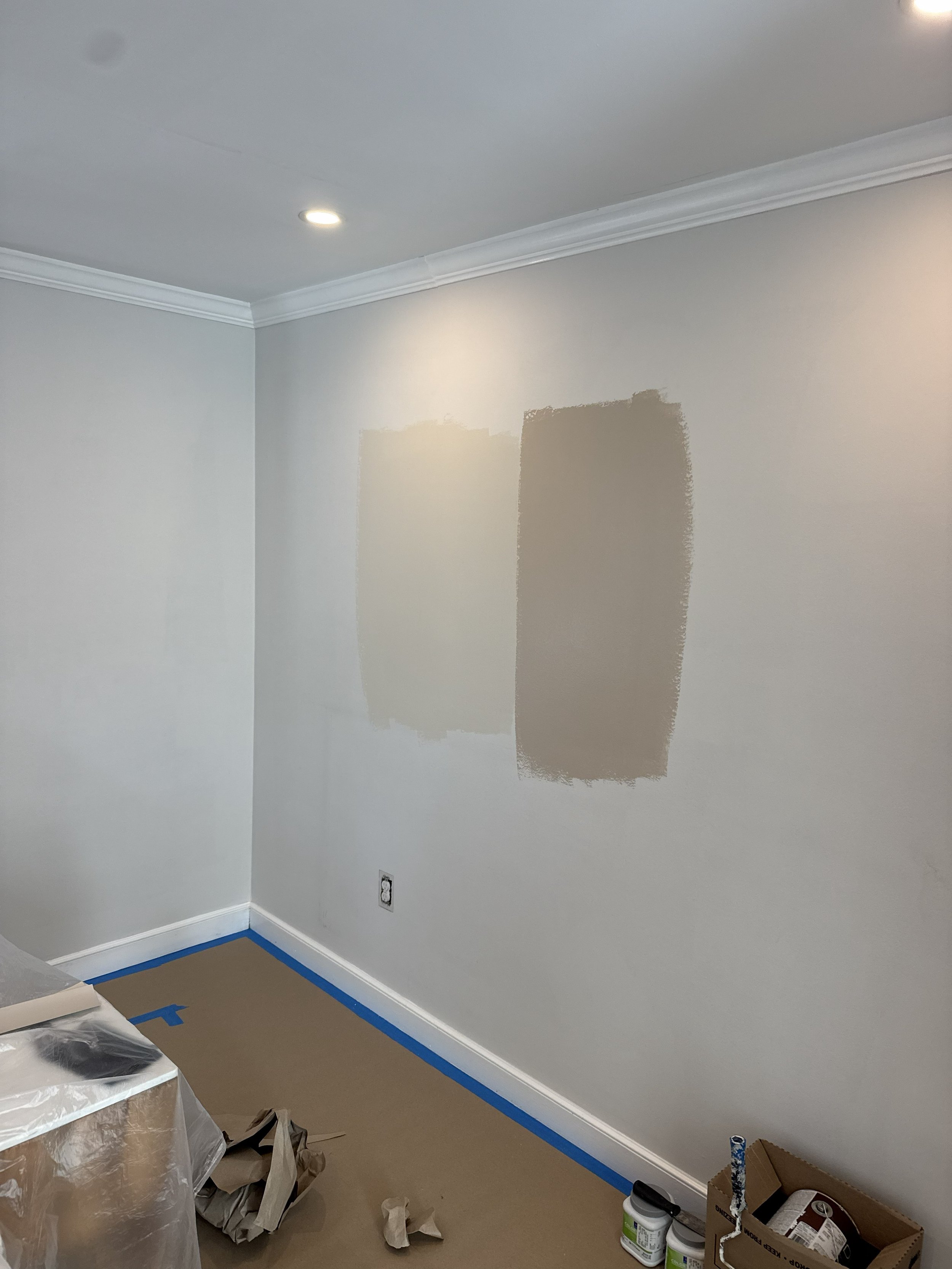 paint swatches _.jpg