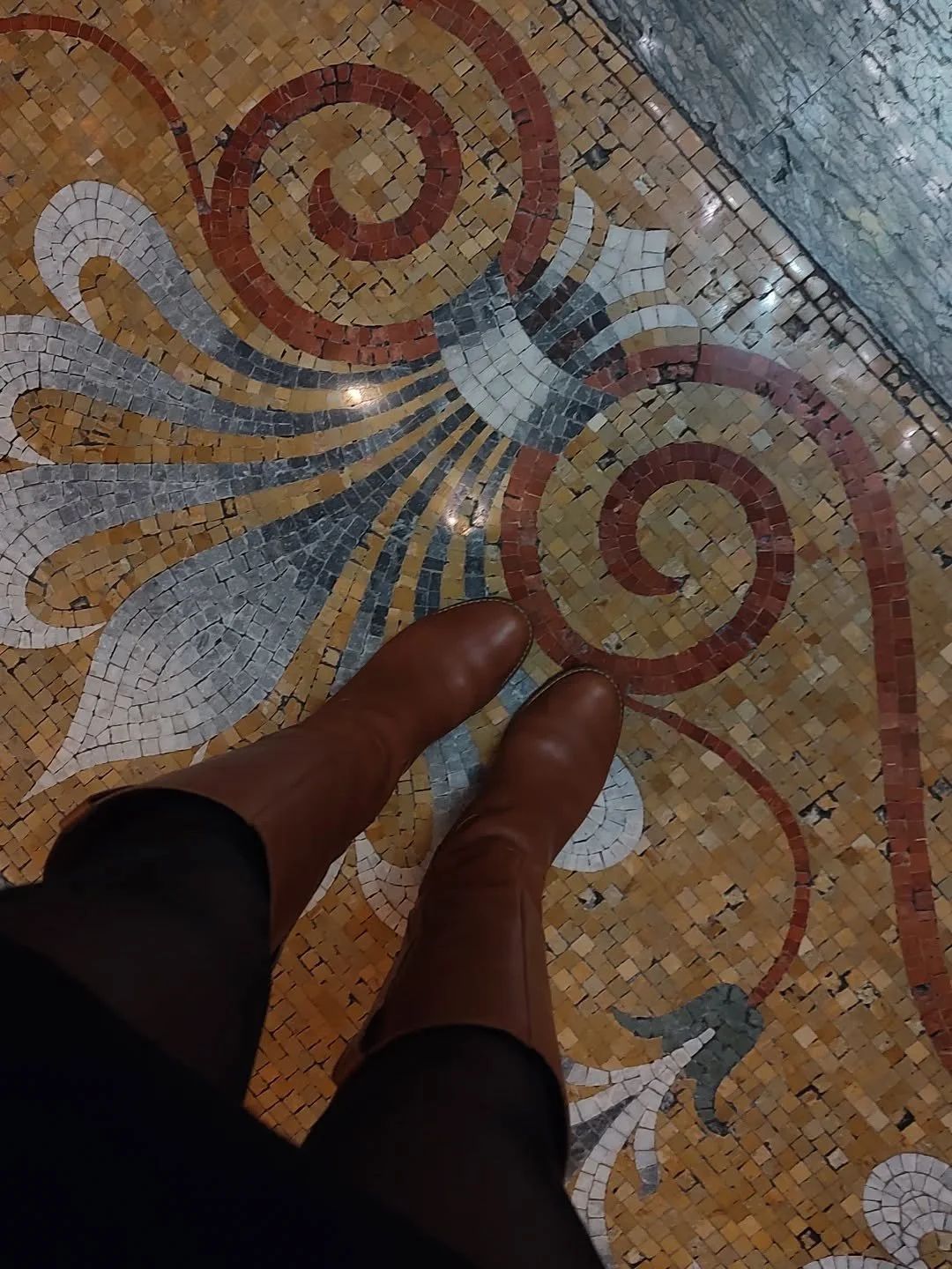 Sometimes, a little underfoot inspiration is all you need! Massachusetts State House mosaics