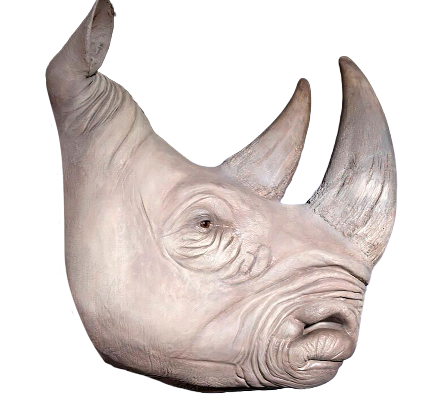White Rhinoceros.png
