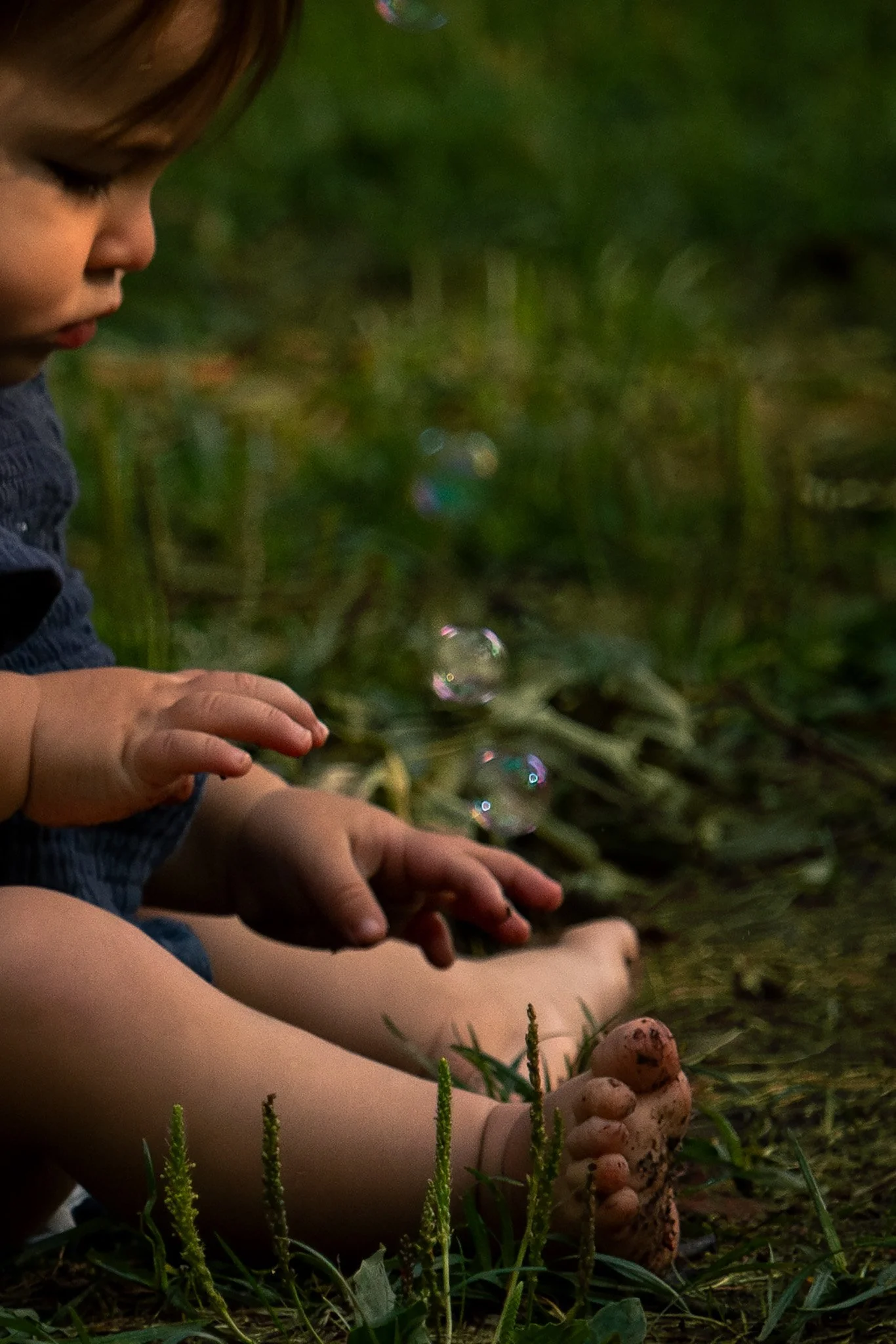 IMG_9228-Enhanced-NR-Edit.jpg