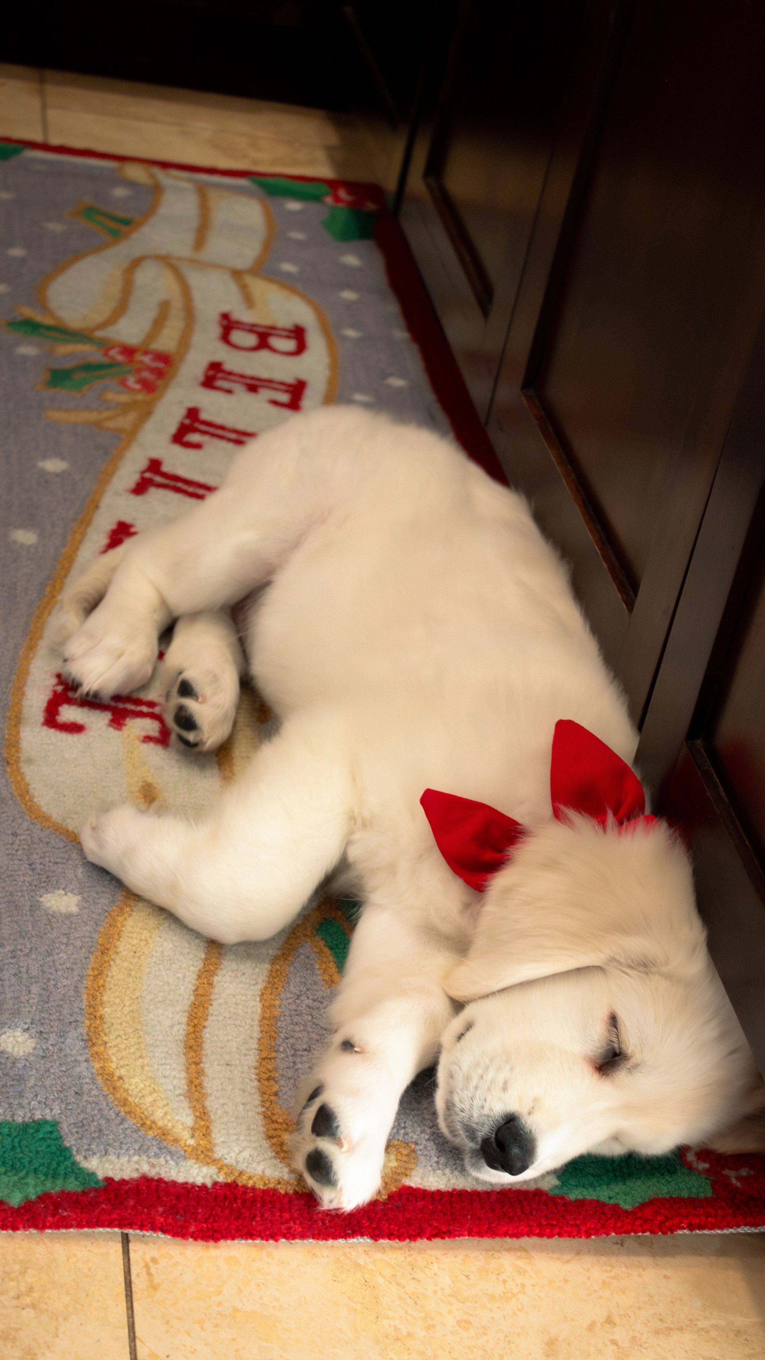 IMG_2212-Enhanced-NR-Edit.jpg